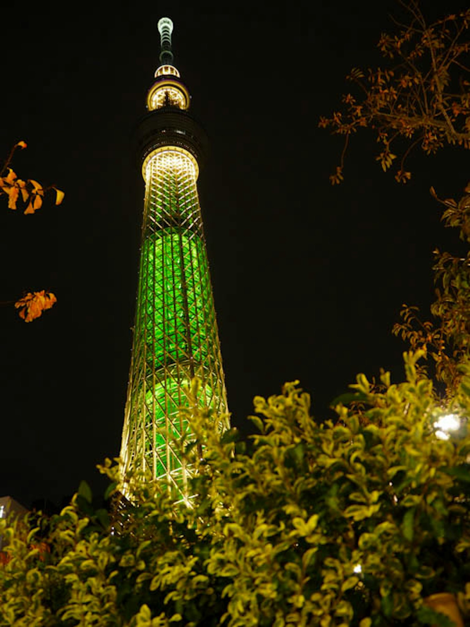 Tokyo Skytree illuminé en vert la nuit