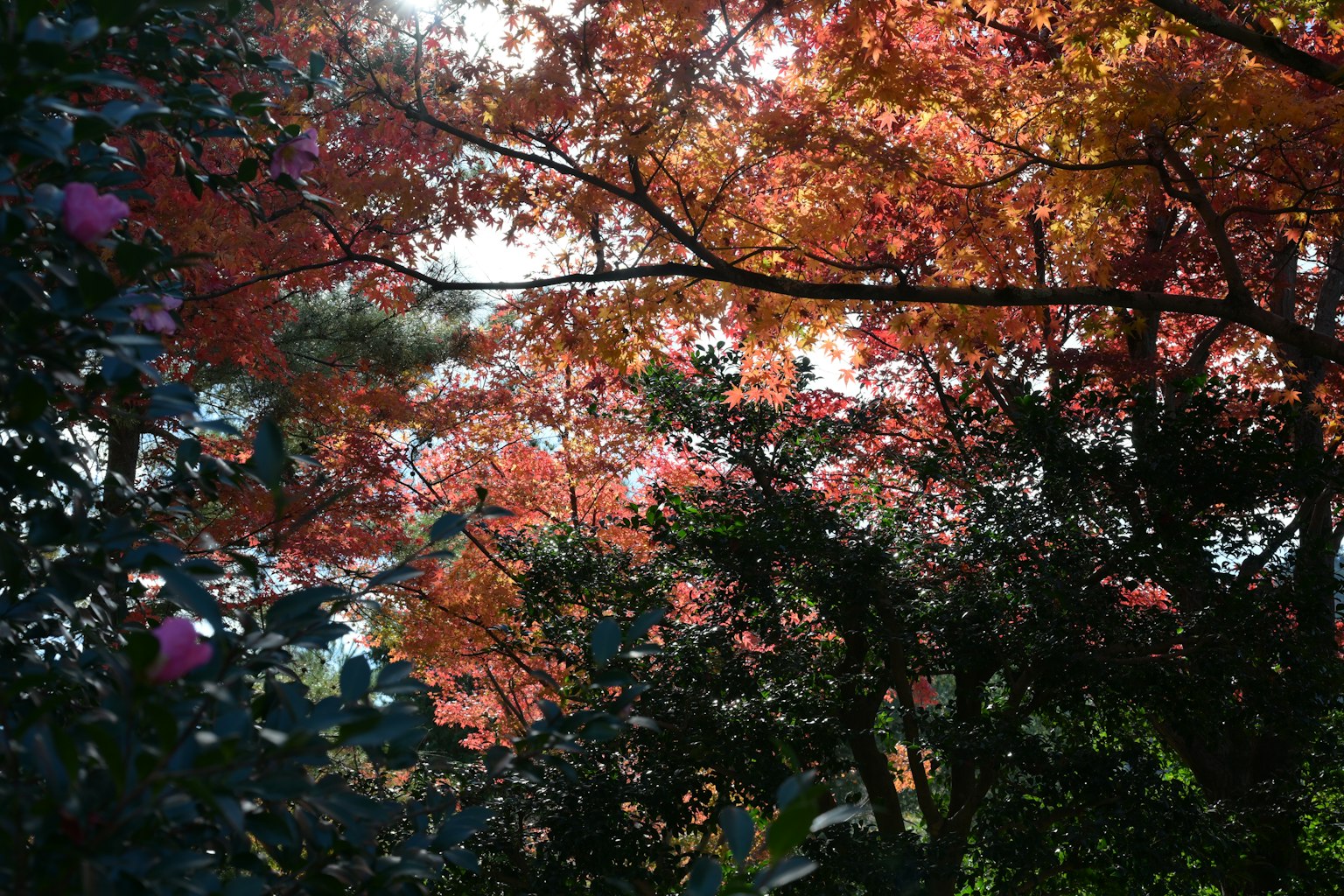 photo-DRT8dd6eEqqNhfFwnJ6P-image