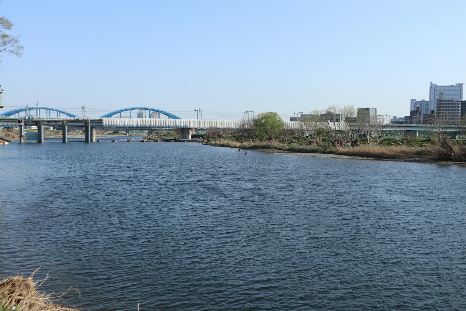 River view featuring blue bridges and urban skyline