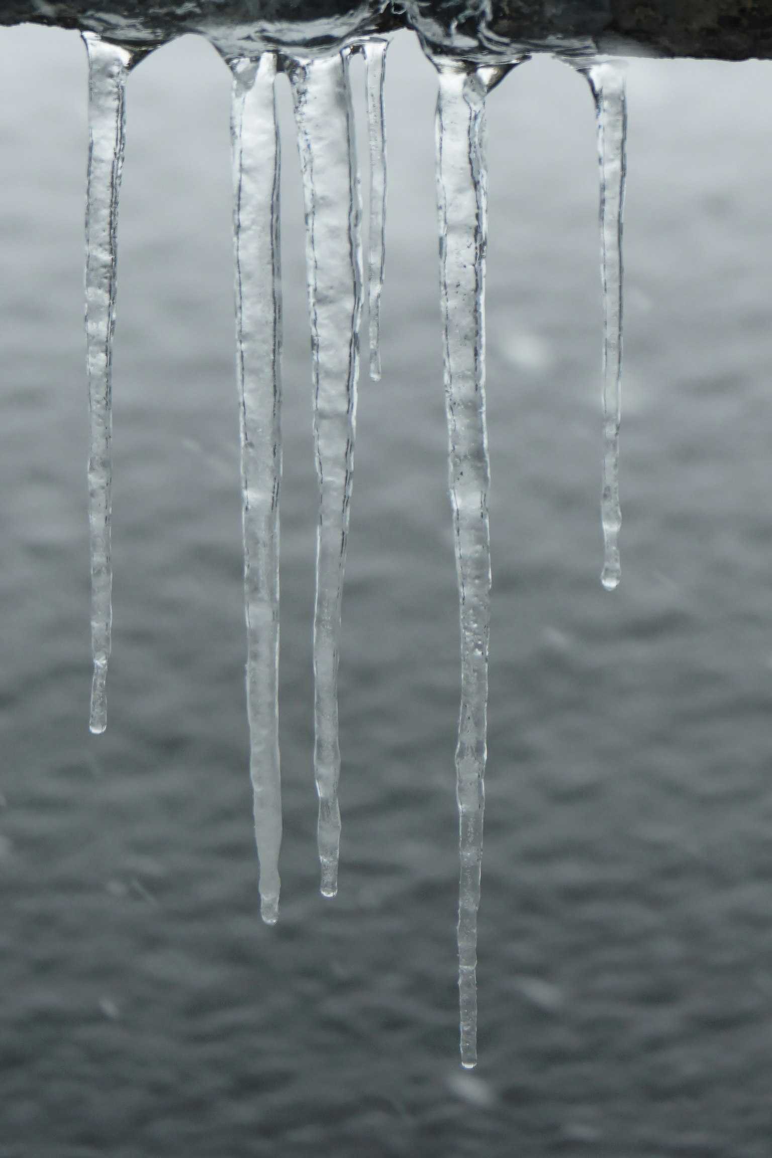 Ghiaccioli appesi sopra una superficie d'acqua