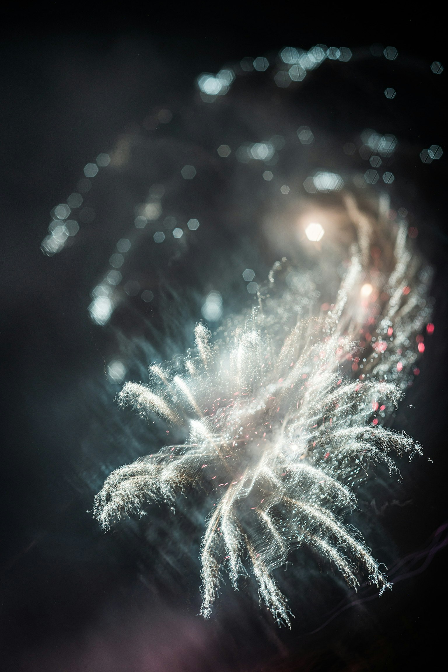 Beaux feux d'artifice se répandant dans le ciel nocturne avec lumière et couleur
