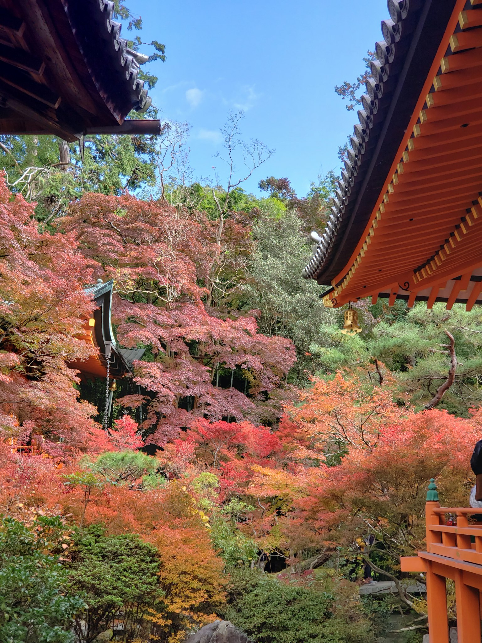 Architecture japonaise traditionnelle avec un feuillage d'automne vibrant