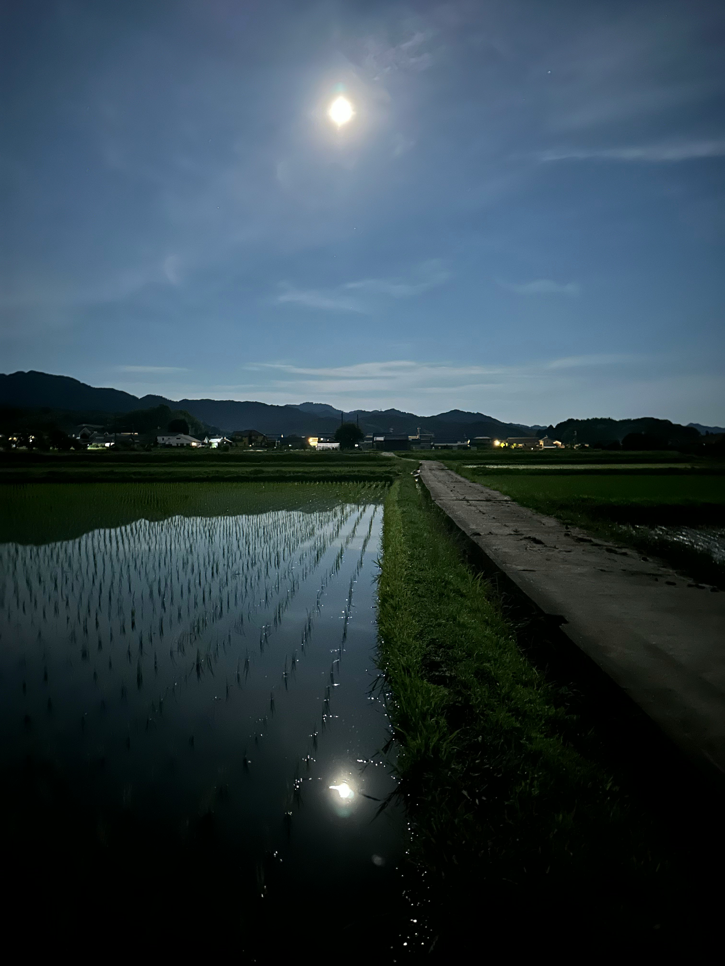 梅雨夜月光映照的稻田水面與堤岸小徑