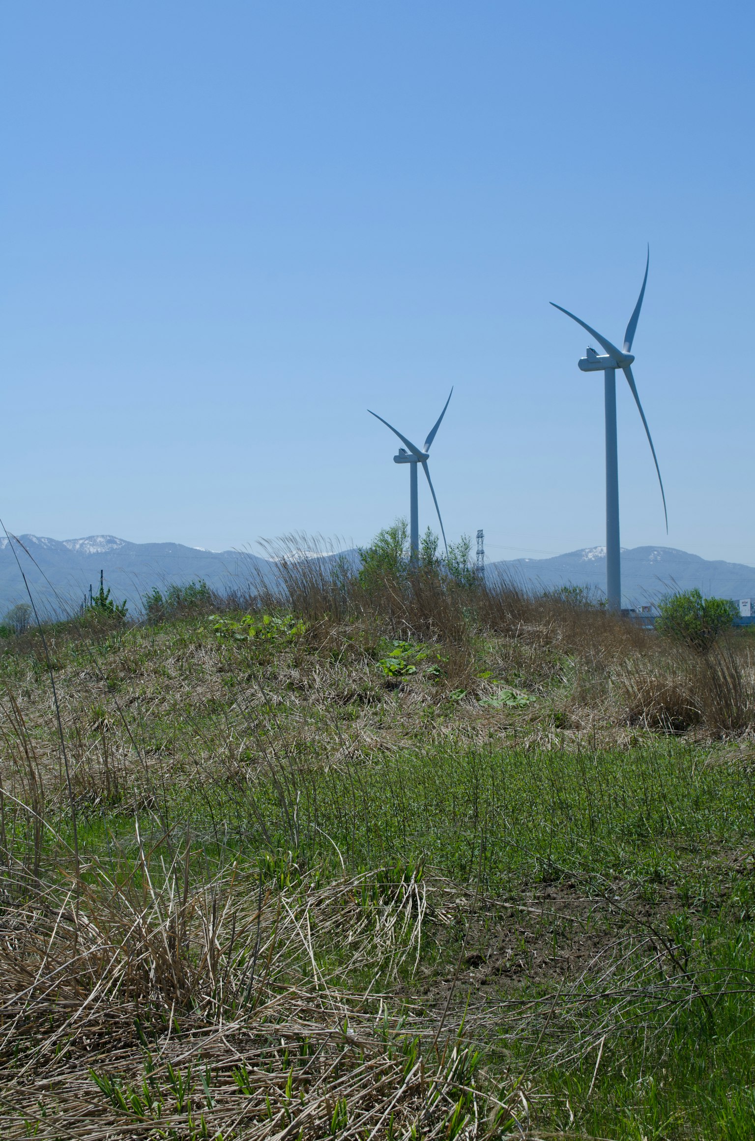 Landscape featuring wind turbines in a grassy area