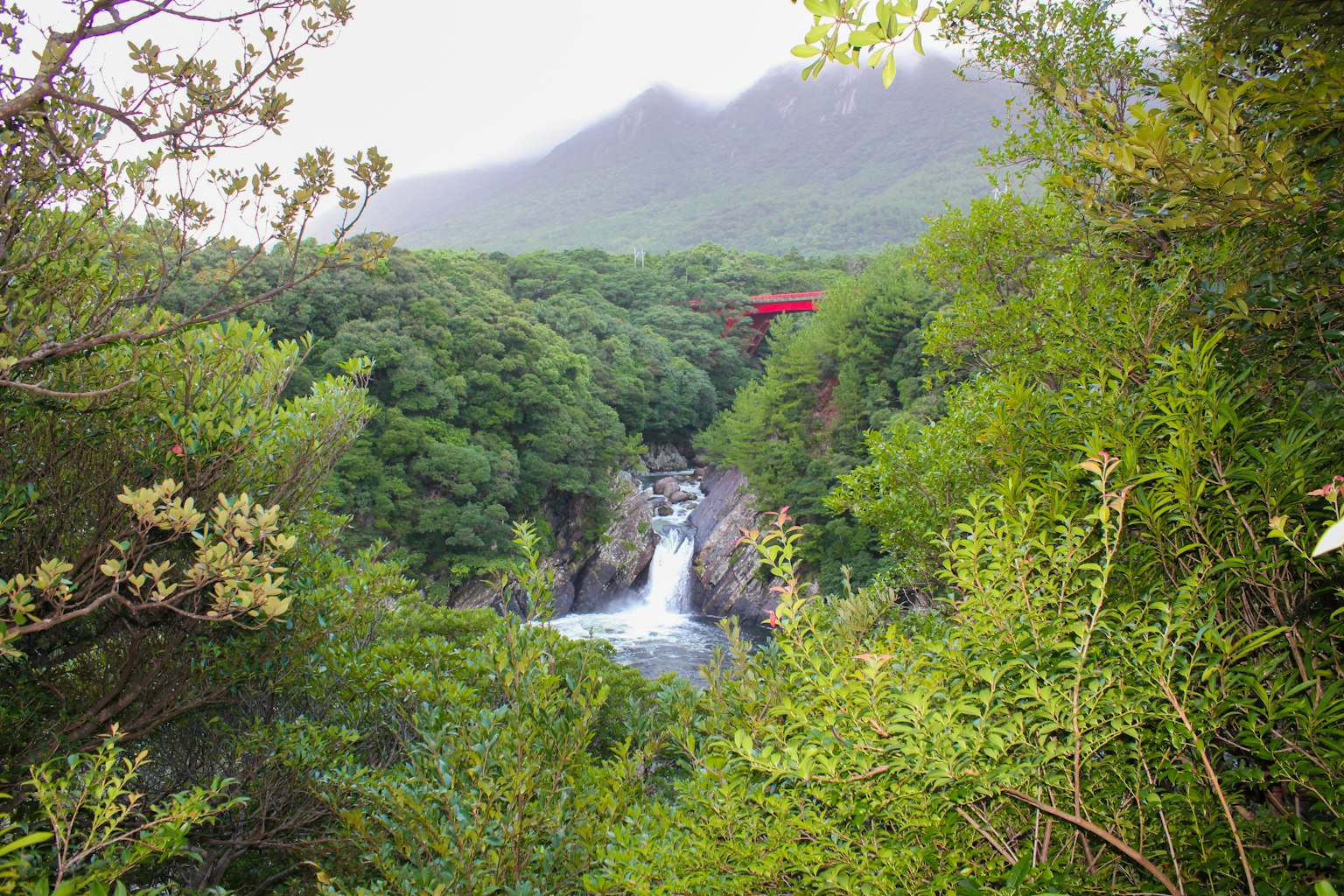 Ein Wasserfall umgeben von üppigem grünem Wald mit einer sichtbaren roten Brücke