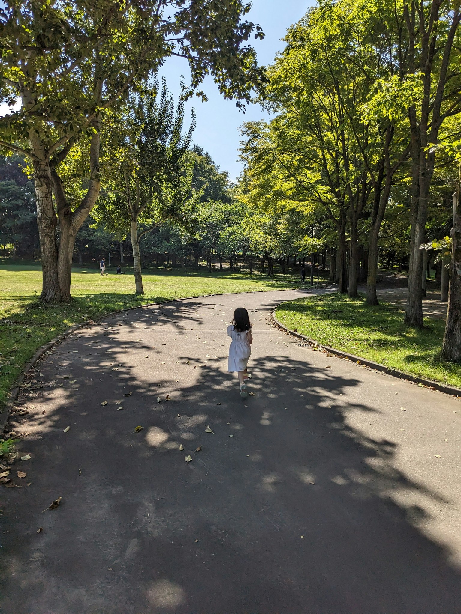 A child walking along a park path surrounded by green trees