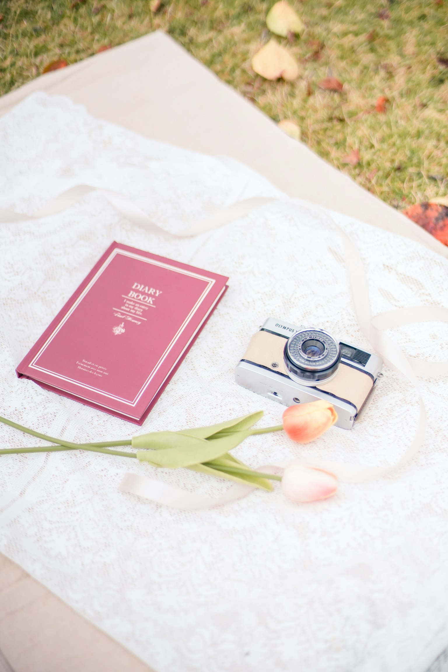 Susunan estetis kamera, buku, dan tulip di atas permukaan lembut