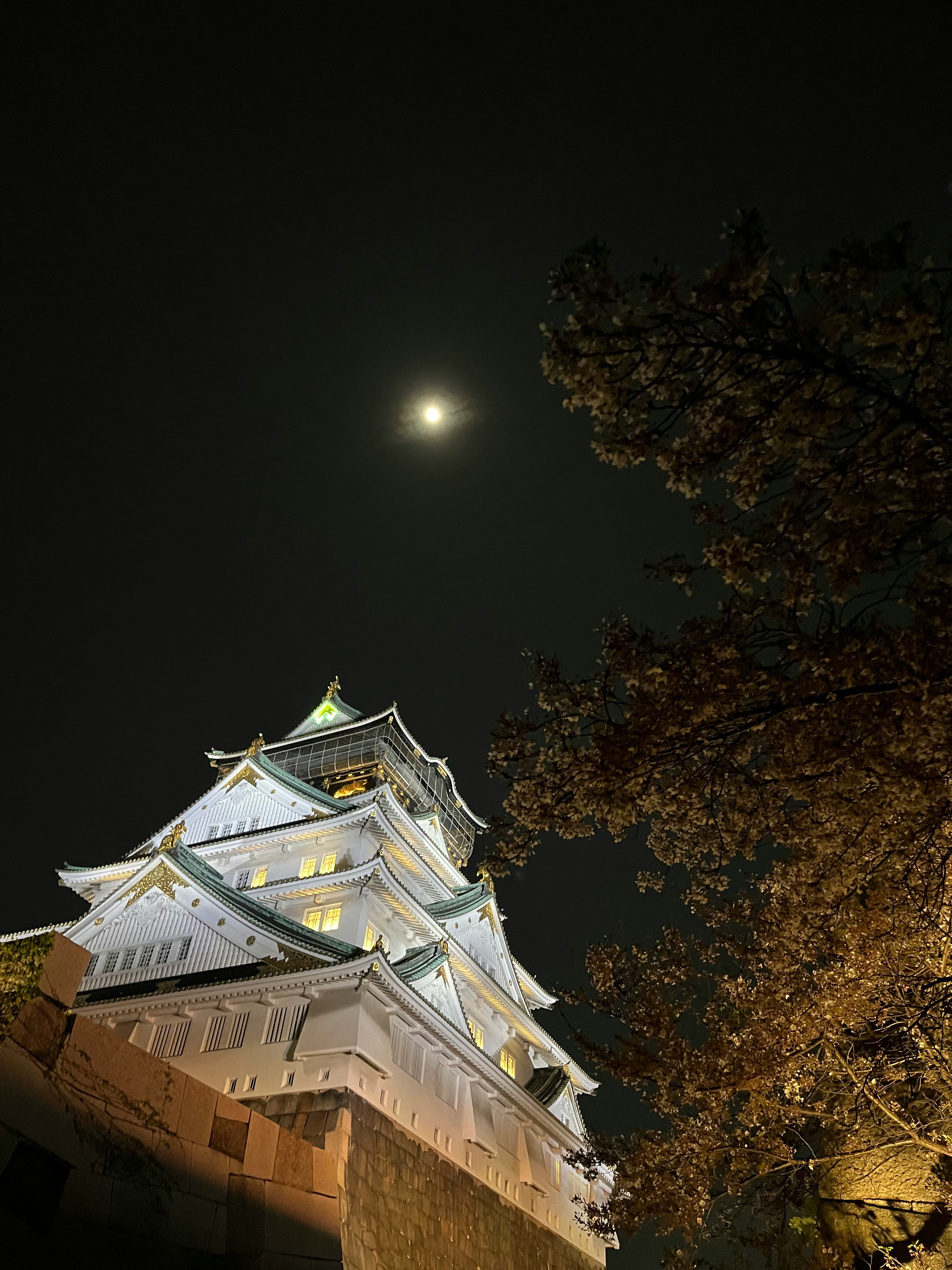 donjon du château d’Osaka la nuit et feuillage d’automne