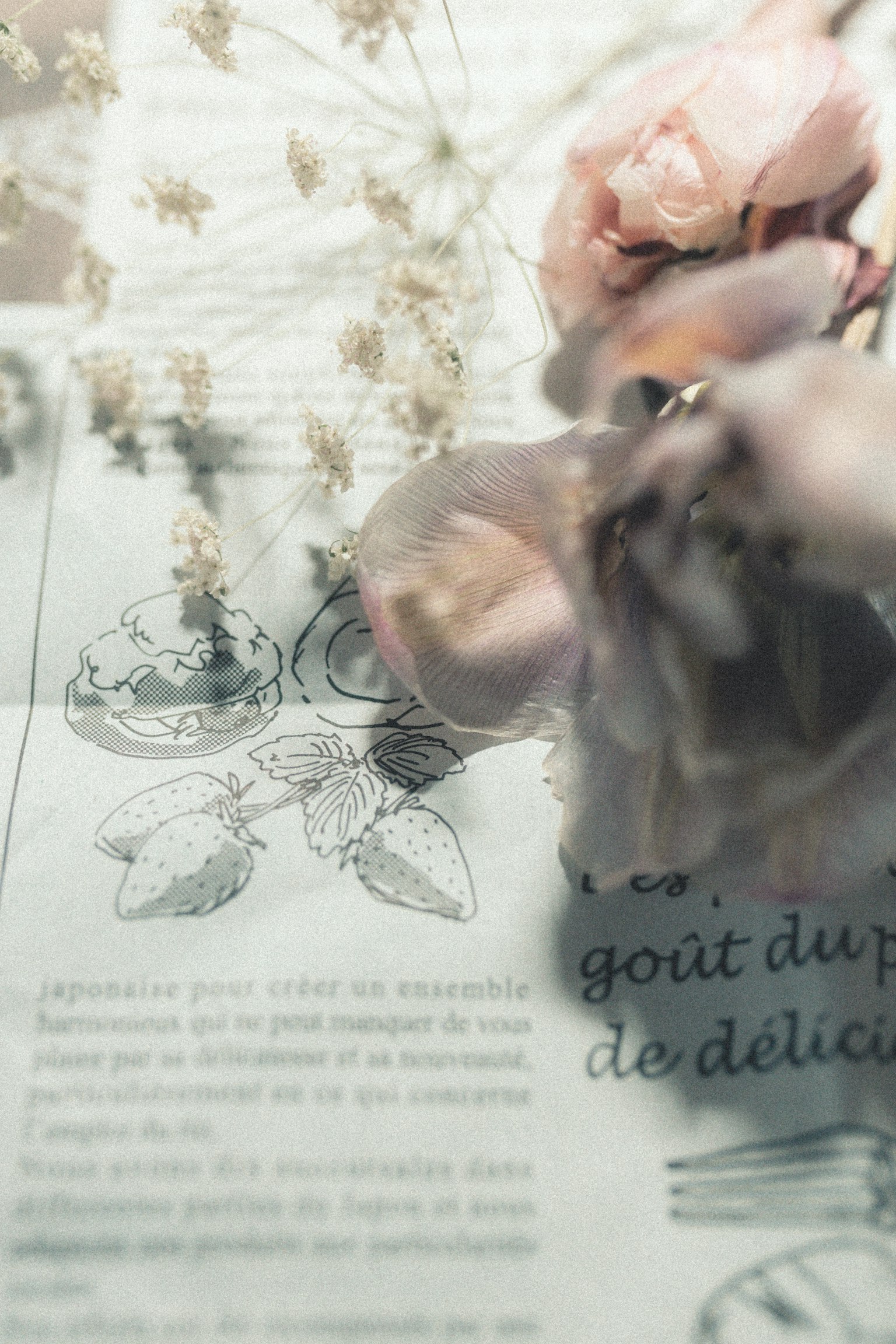 A beautiful image featuring soft-colored flowers overlapping with vintage text