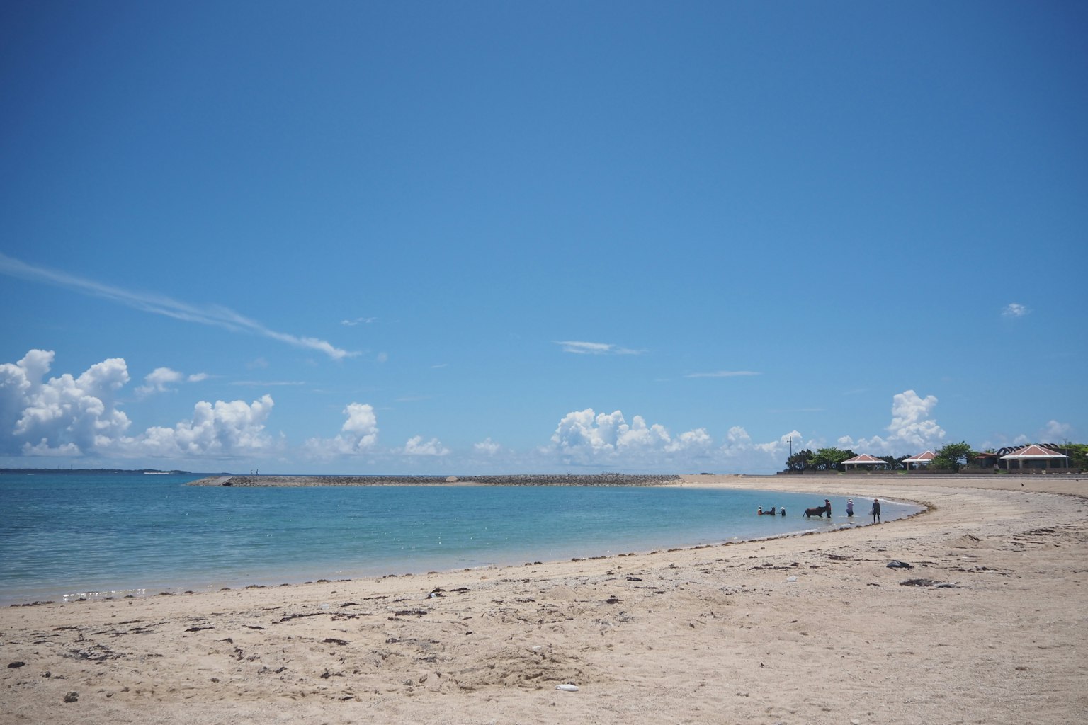 Una scena di spiaggia con cielo blu e mare calmo