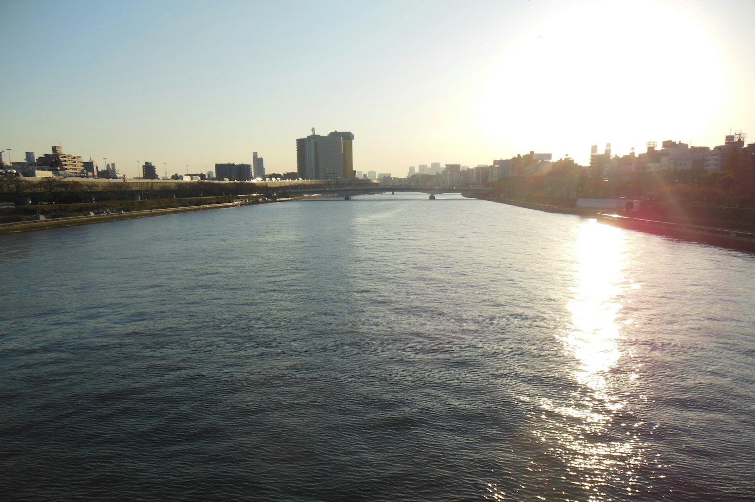 河流的风景，阳光反射在水面上，城市天际线