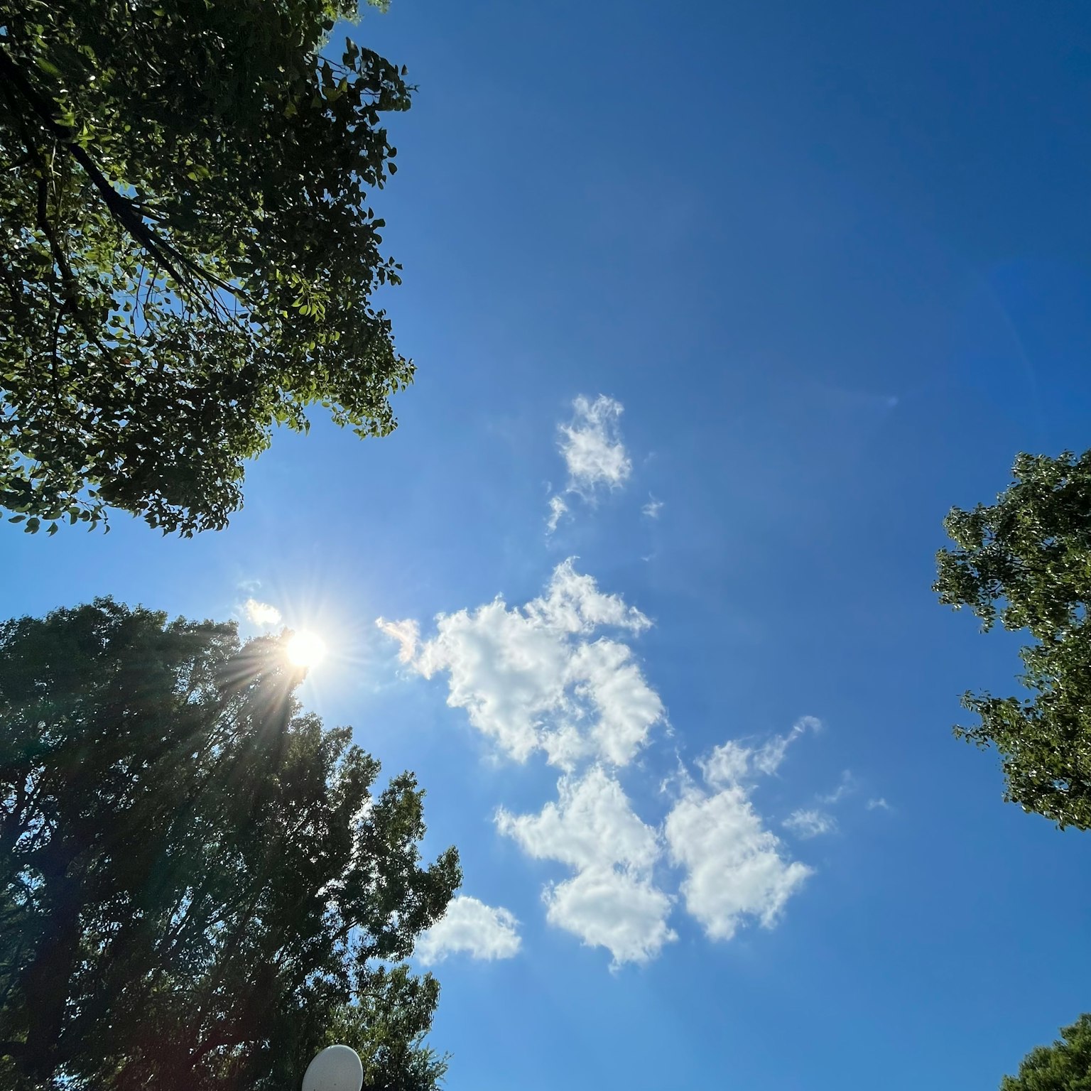 Blauer Himmel mit weißen Wolken und Silhouetten von Bäumen