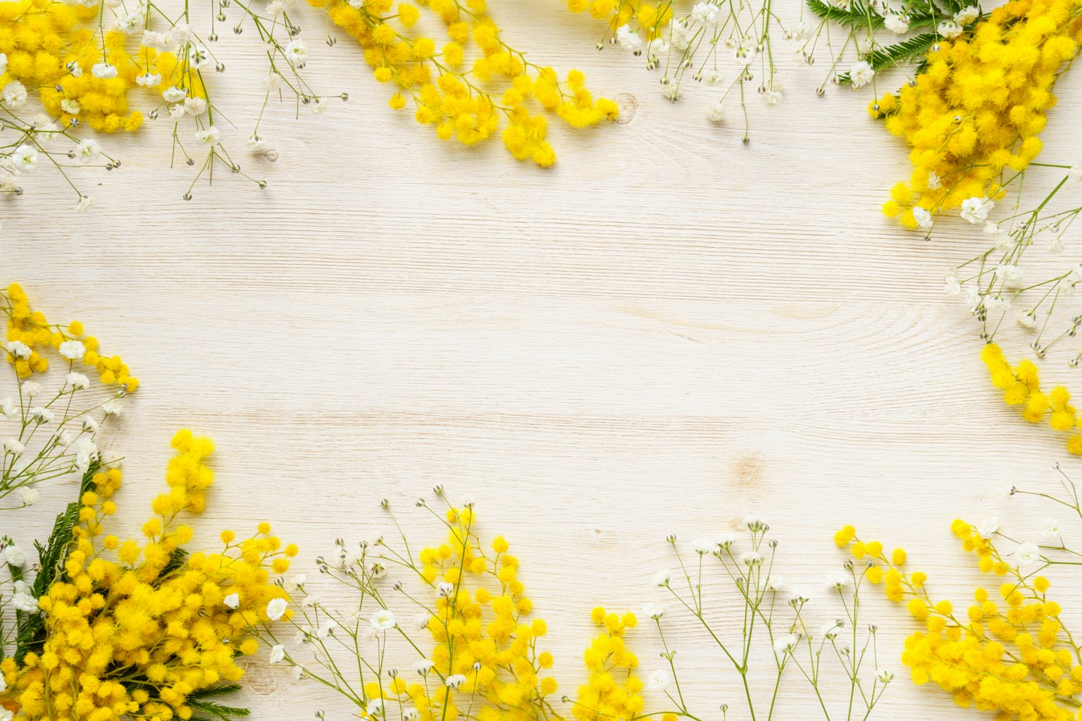 Fiori di mimosa gialli e piccoli fiori bianchi che incorniciano uno sfondo in legno