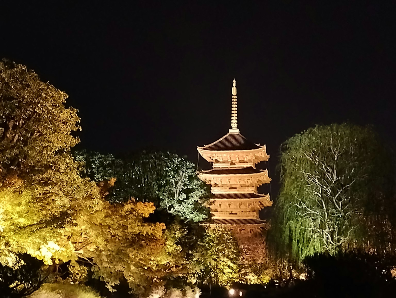 Pagoda illuminata di notte circondata da alberi colorati