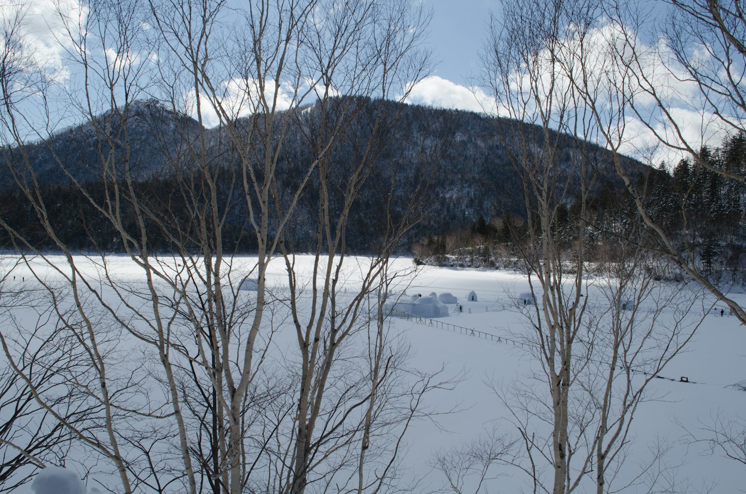 雪覆盖的风景与背景中的山