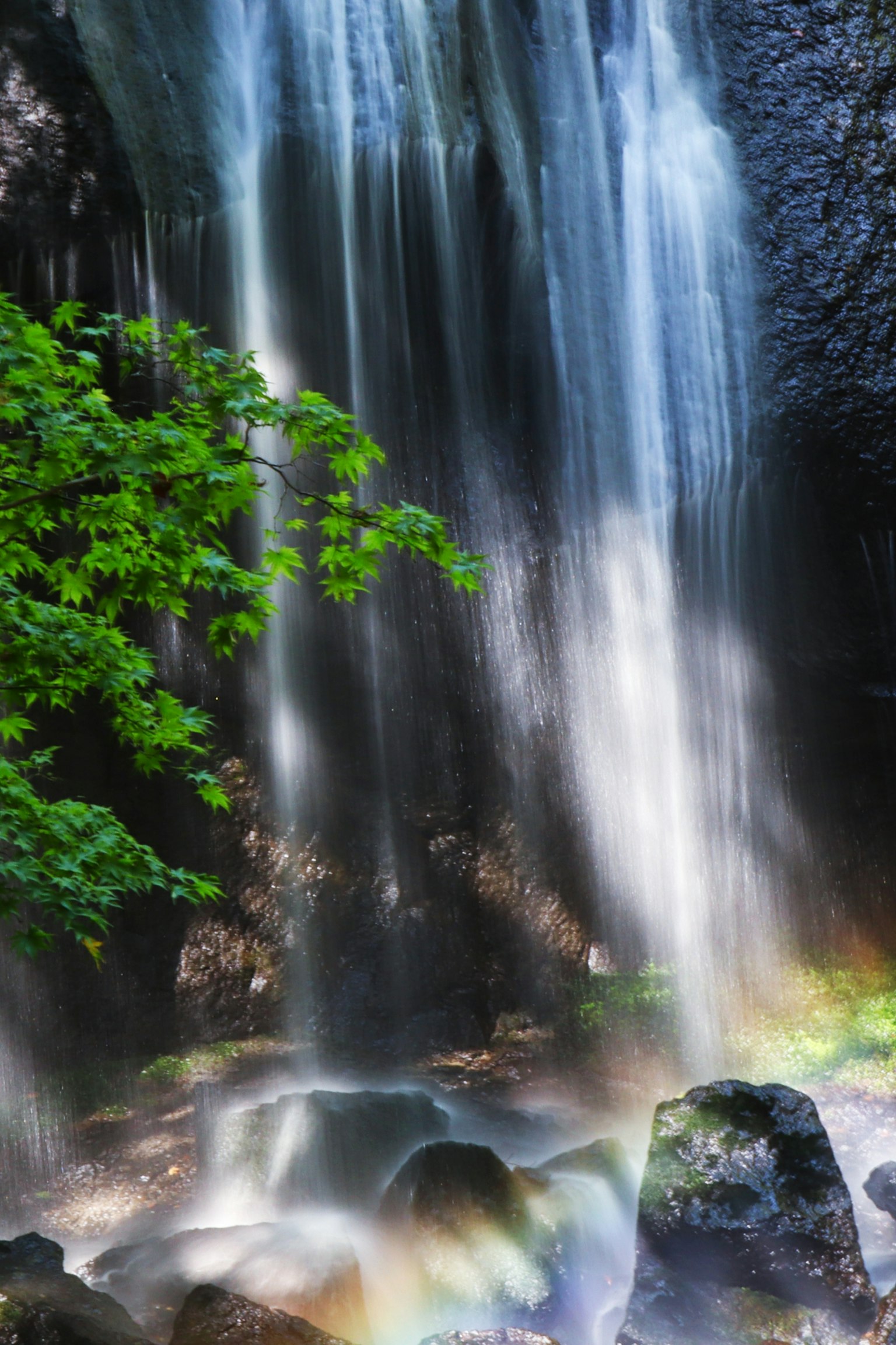 Bella cascata con fogliame verde lussureggiante