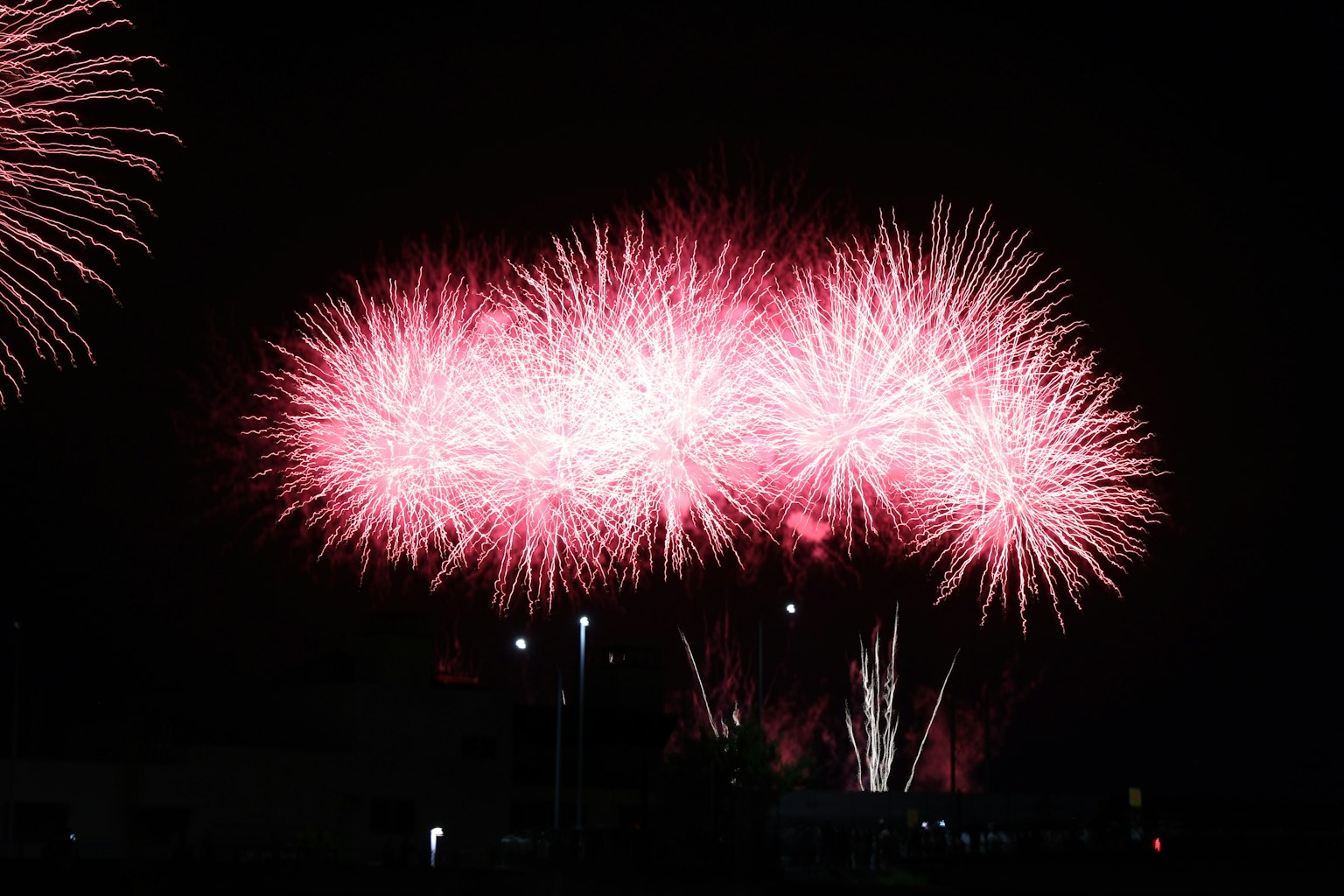 Un gruppo di fuochi d'artificio rosa che fioriscono nel cielo notturno