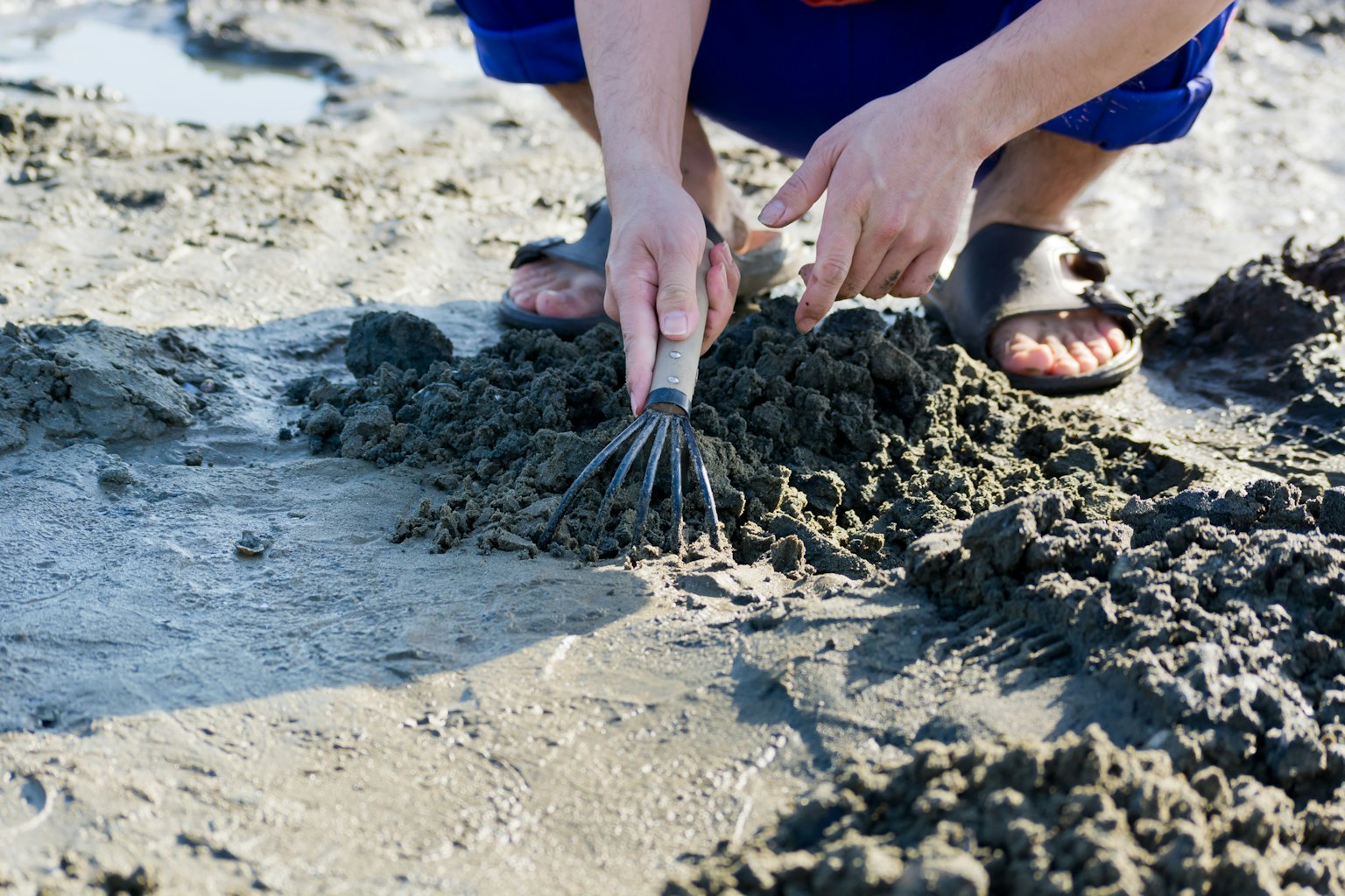 Orang yang menggali pasir di pantai dengan tangan
