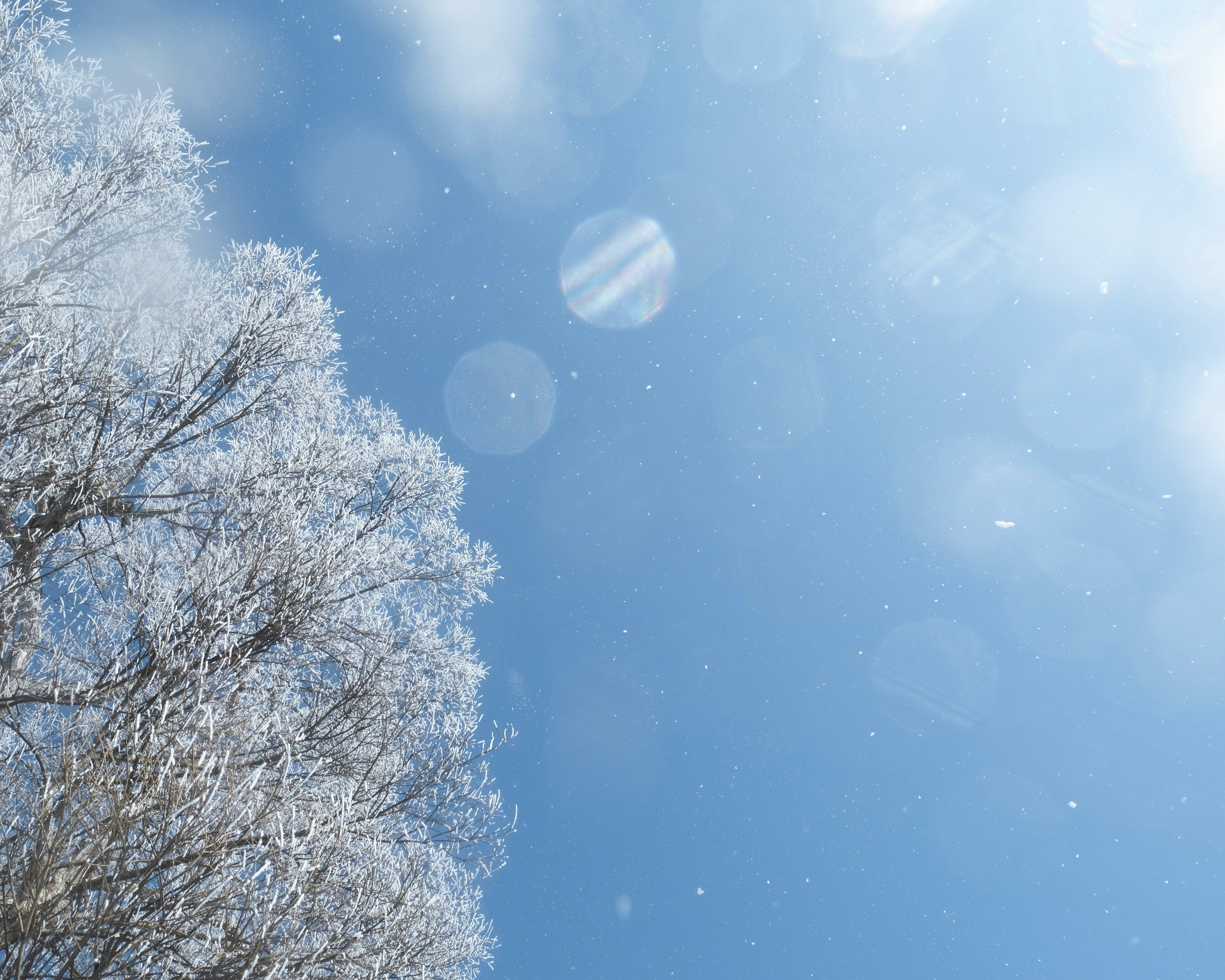 frostige weiße Bäume und Wassertröpfchen-Bokeh vor dem Himmel