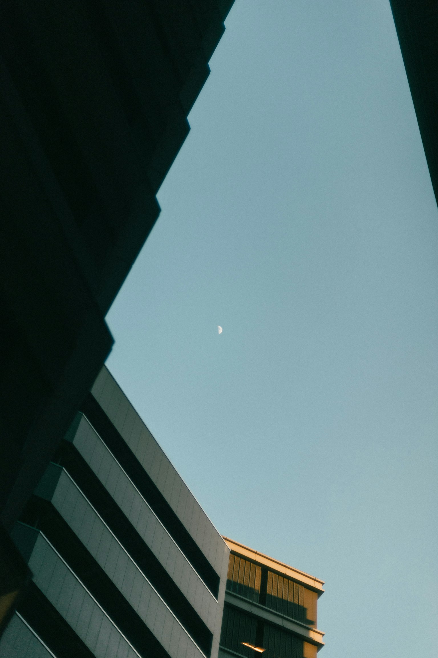 建筑之间看到的天空和月亮的图像