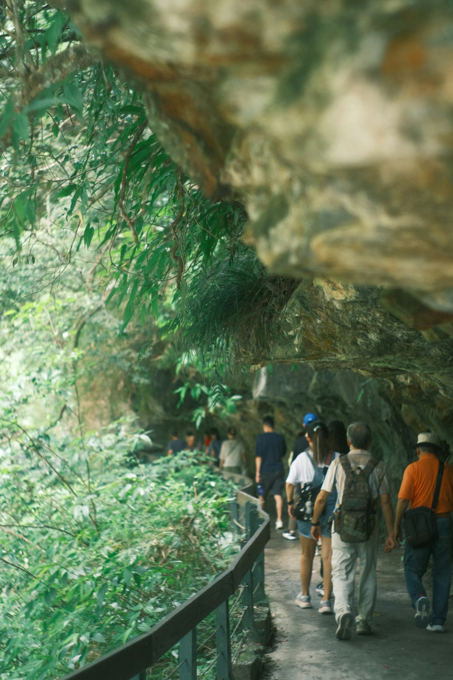 Un grupo de personas caminando por un sendero verde con paredes rocosas