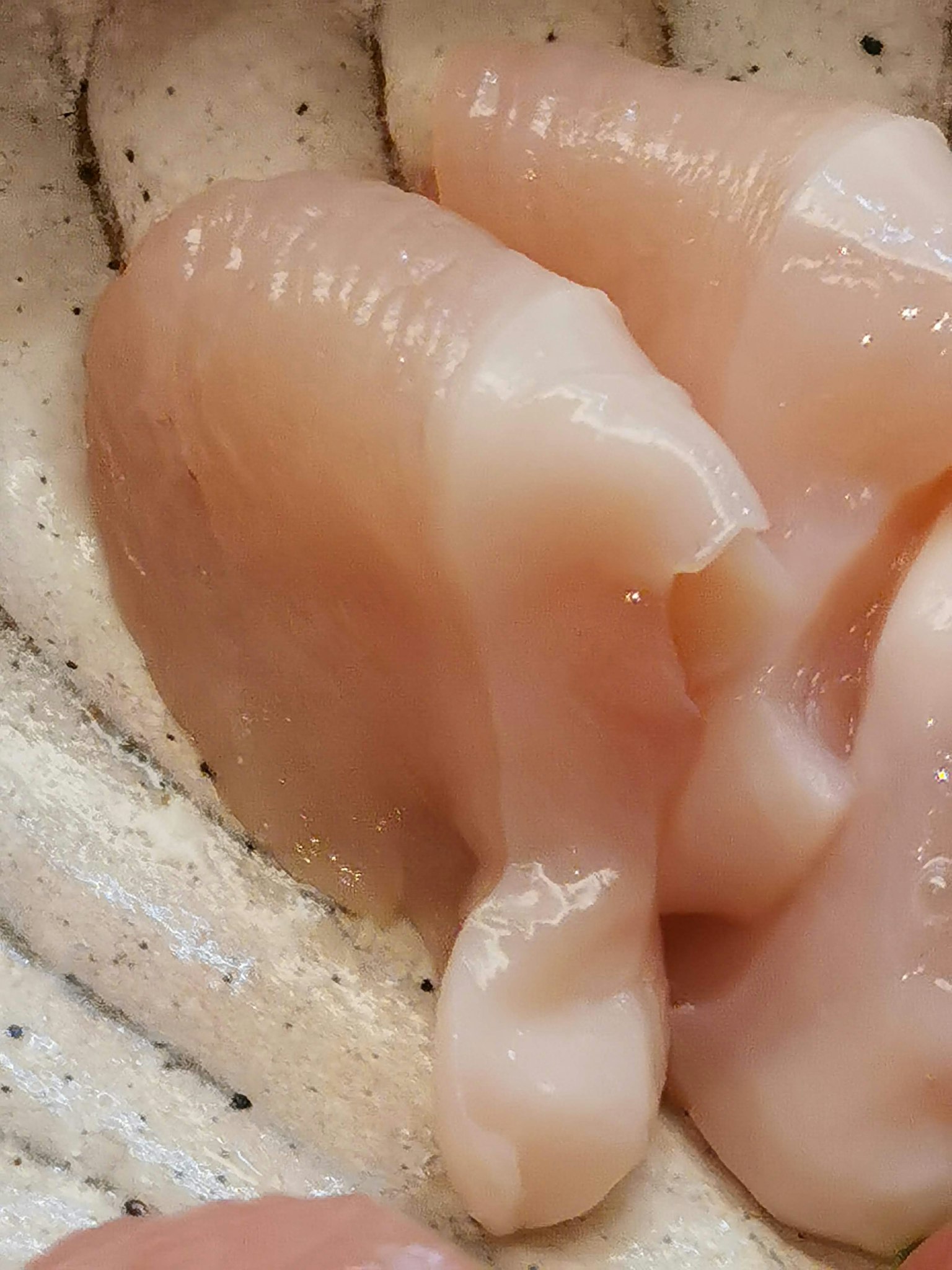 Fette di petto di pollo crudo disposte su un piatto bianco