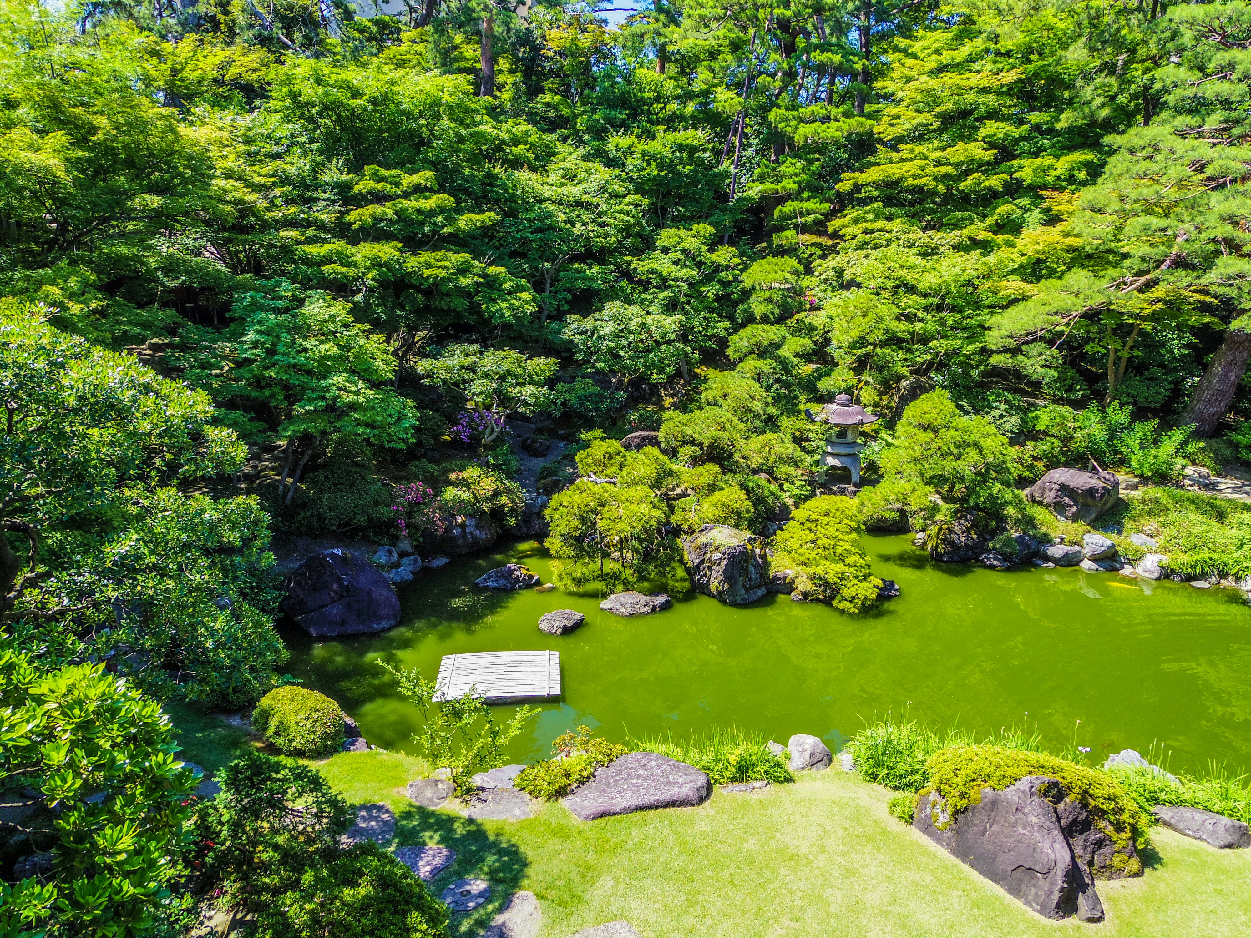lush Japanese garden with a mossy pond and stepping stones