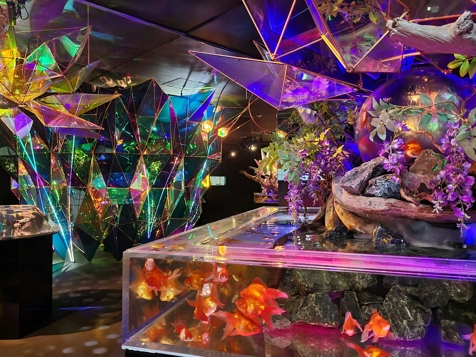 Ein fantastisches Interieur mit bunten transparenten Polyedern und Goldfischen in Aquarien