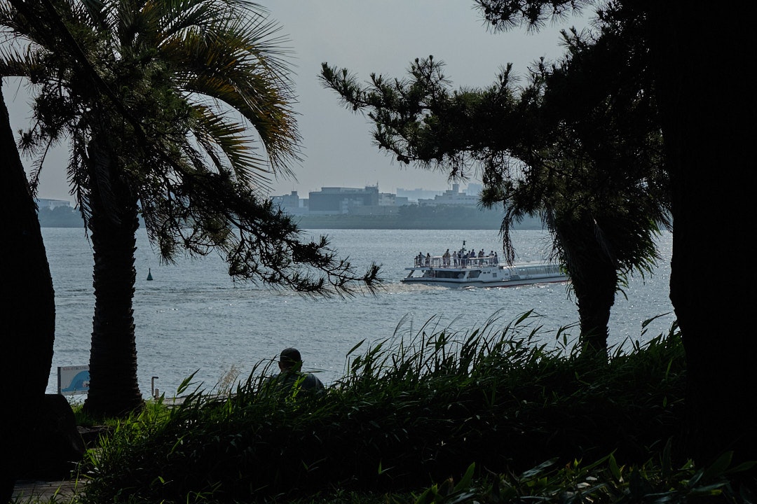 葛西臨海公園の海辺を望むヤシの木と遊覧船