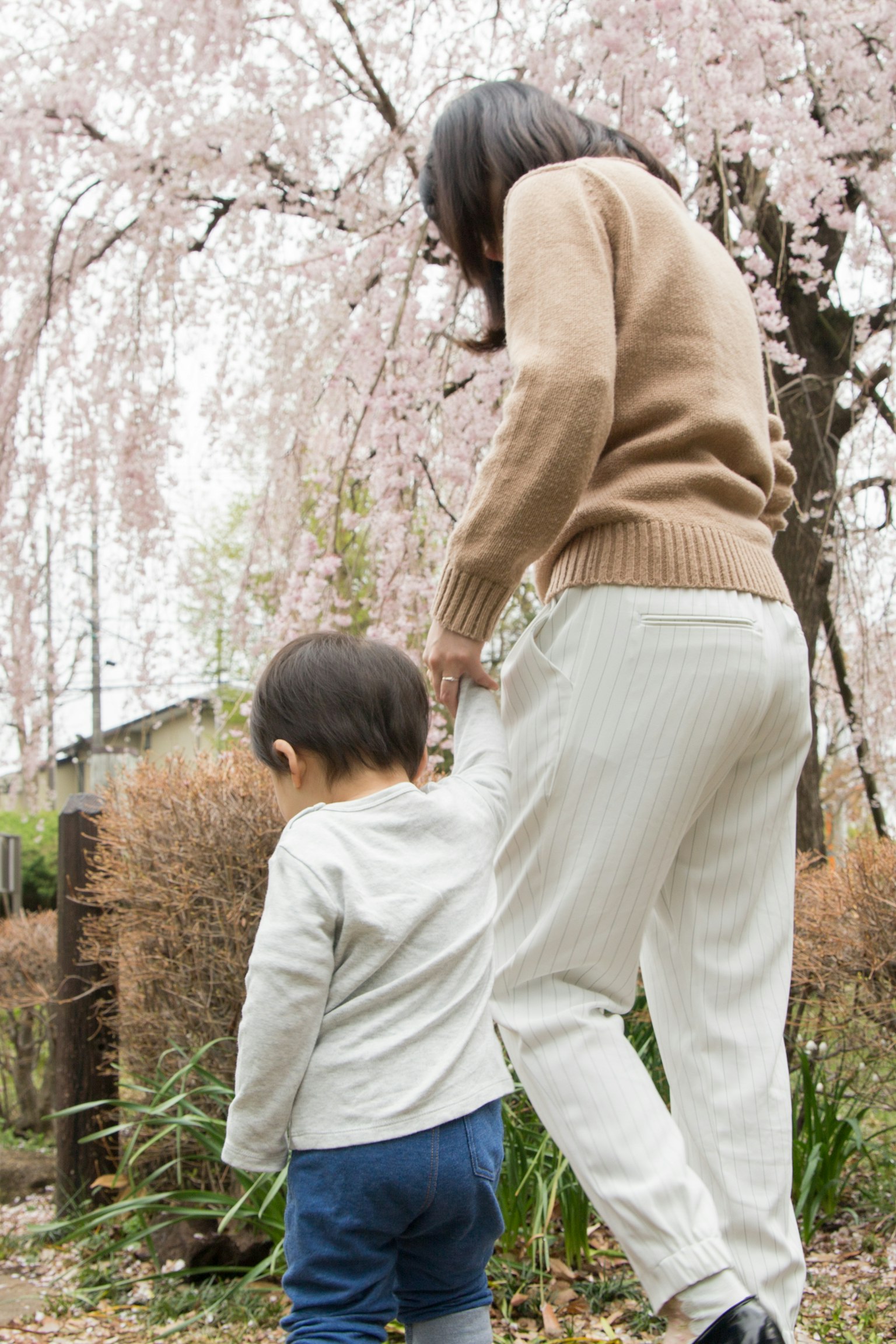 Madre che cammina con un bambino sotto i ciliegi in fiore