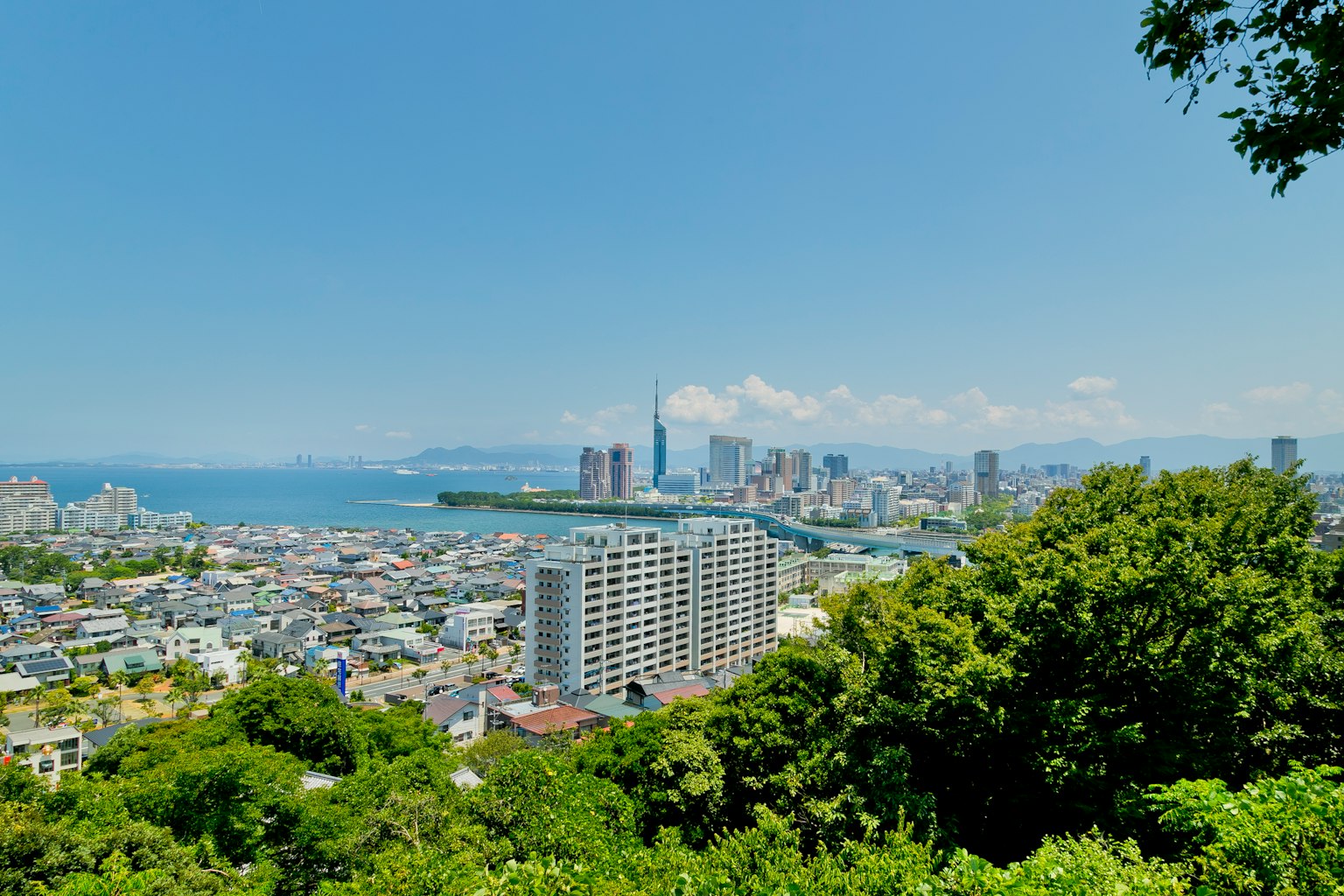 城市景觀包括摩天大樓和藍色海洋前景是郁郁蔥蔥的綠色