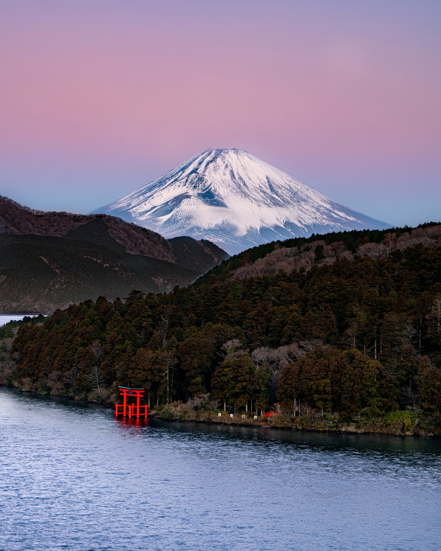 Paysage magnifique avec le mont Fuji et une porte torii rouge