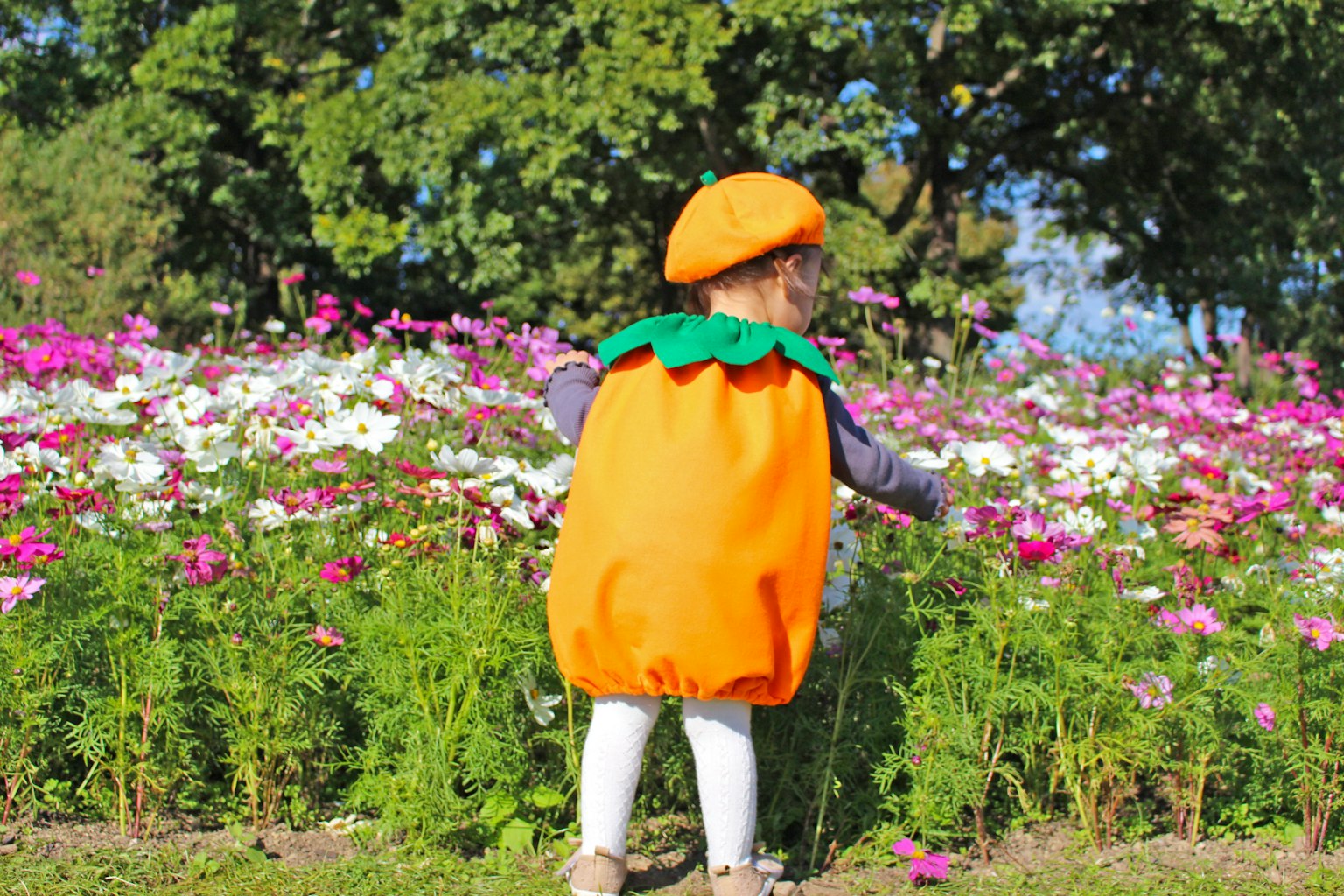 Bambino in costume di zucca arancione che gioca tra fiori colorati