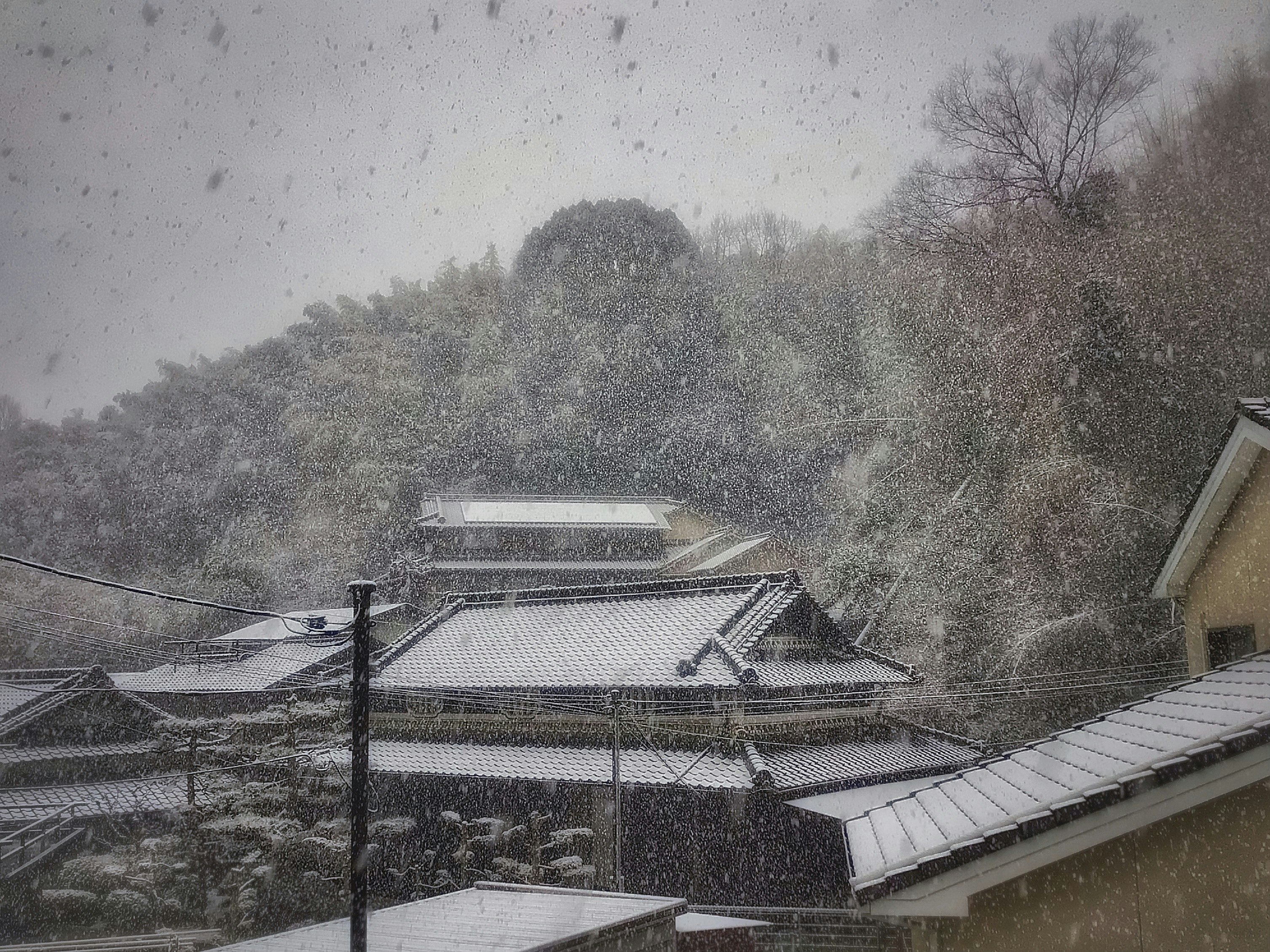 雪の降る寺院の屋根と山並みの景色
