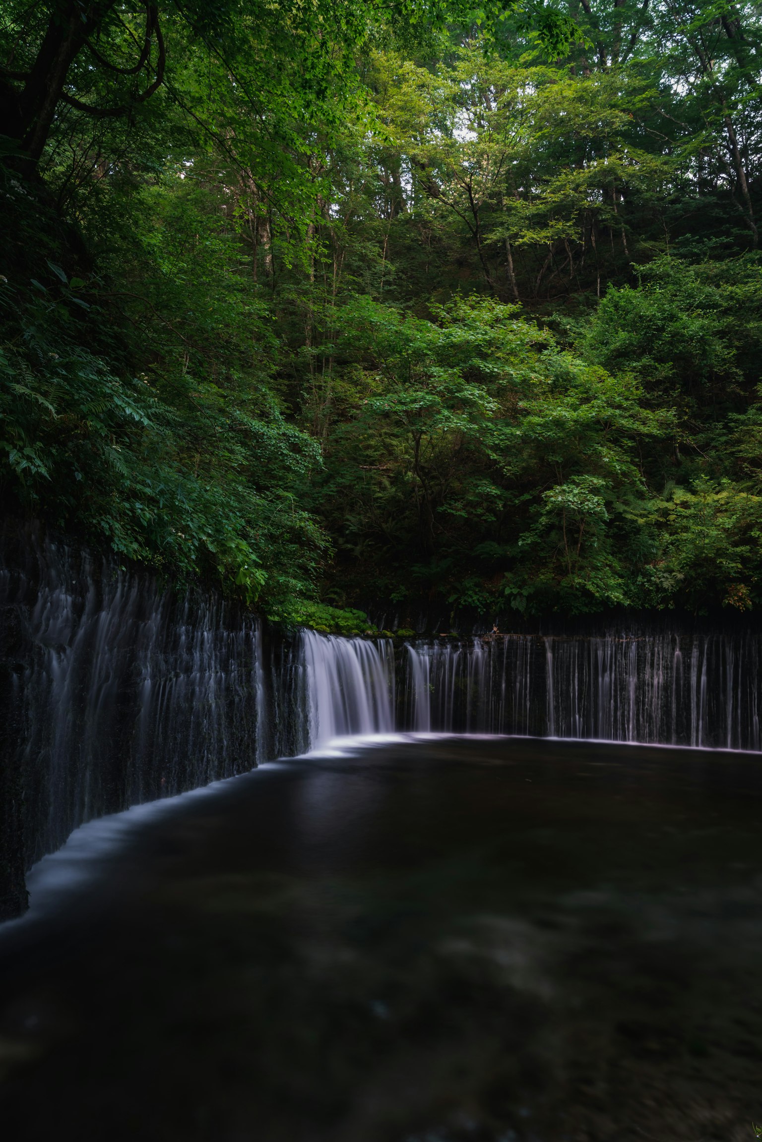 Serene waterfall surrounded by lush green forest