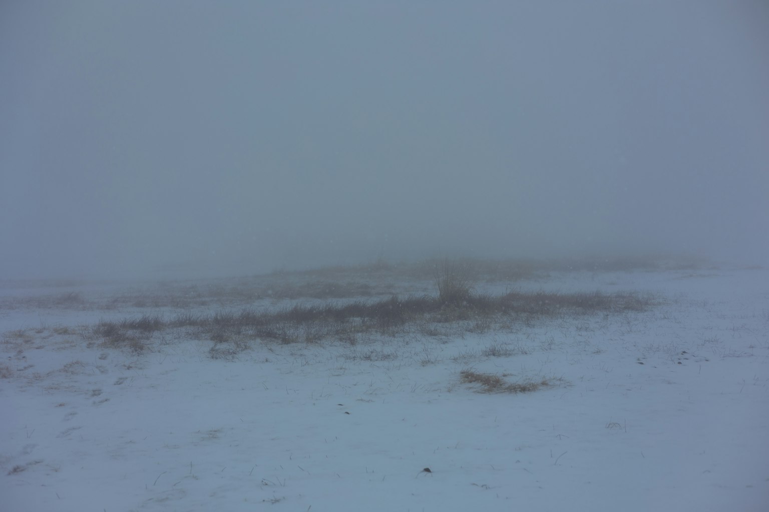 Paesaggio innevato nebbioso con visibilità minima