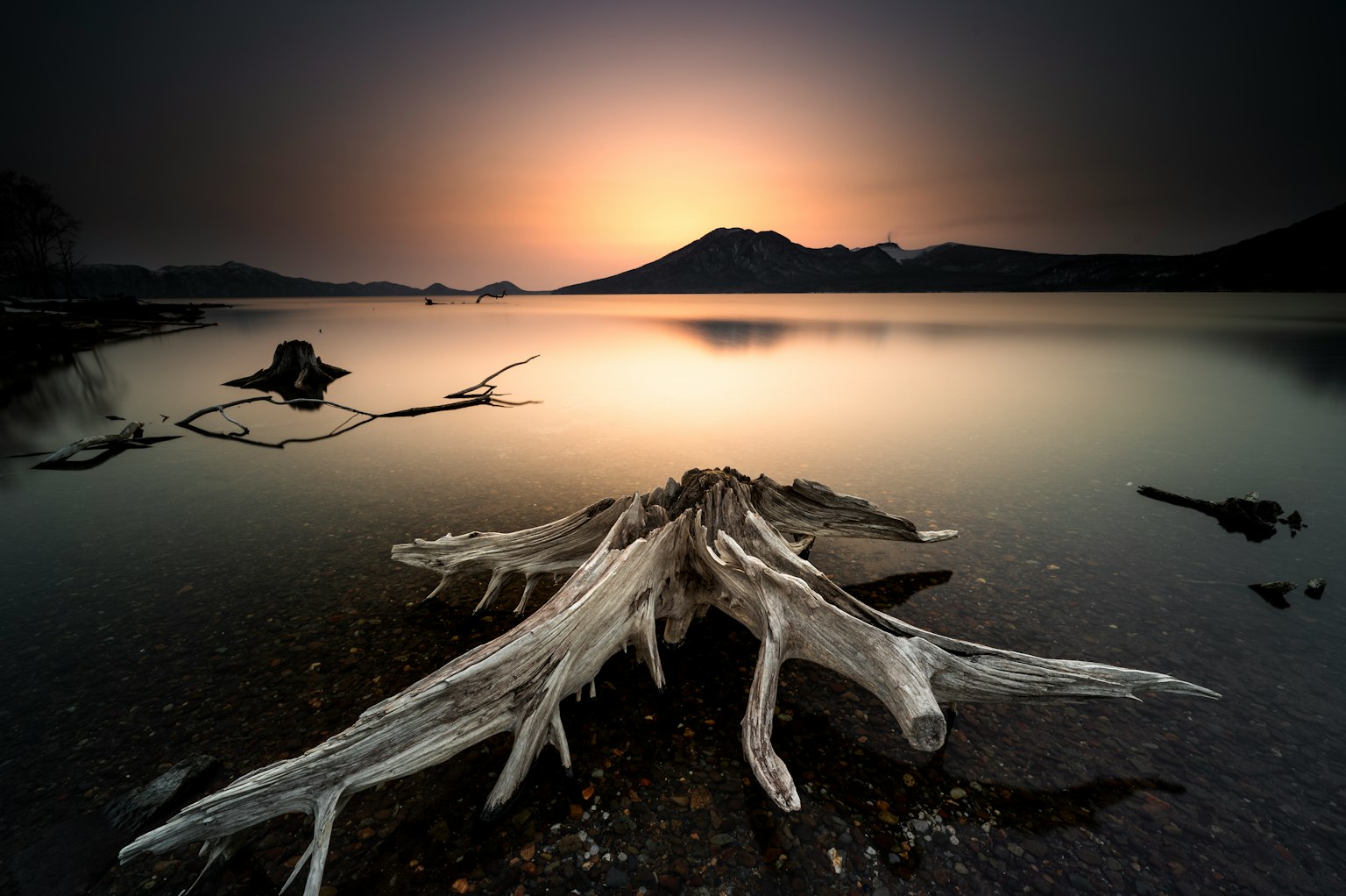 Paysage de coucher de soleil magnifique avec bois flotté sur la rive d'un lac tranquille