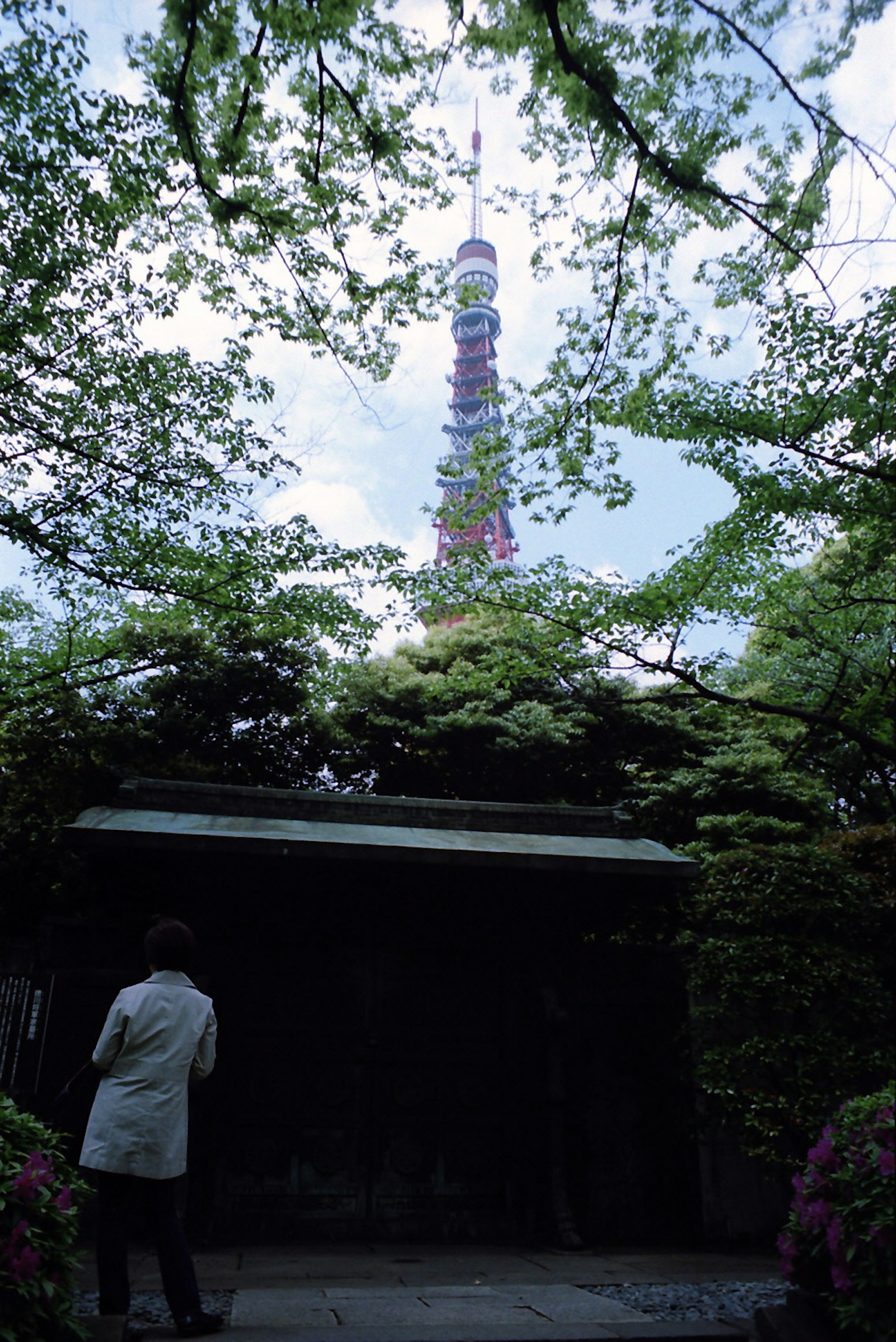 Torre di Tokyo visibile attraverso una vegetazione lussureggiante