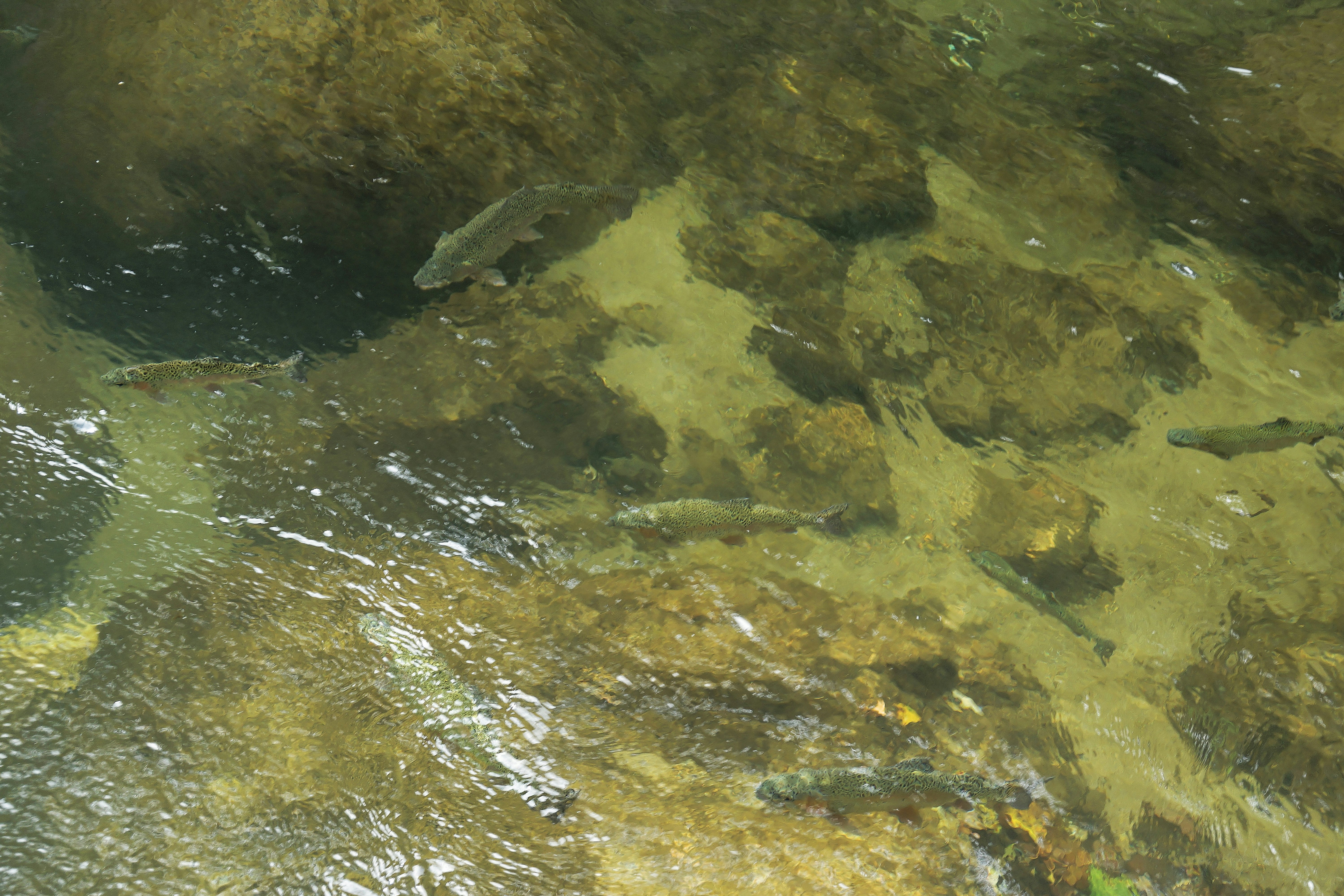 Natural landscape showing rocks and sand patterns underwater