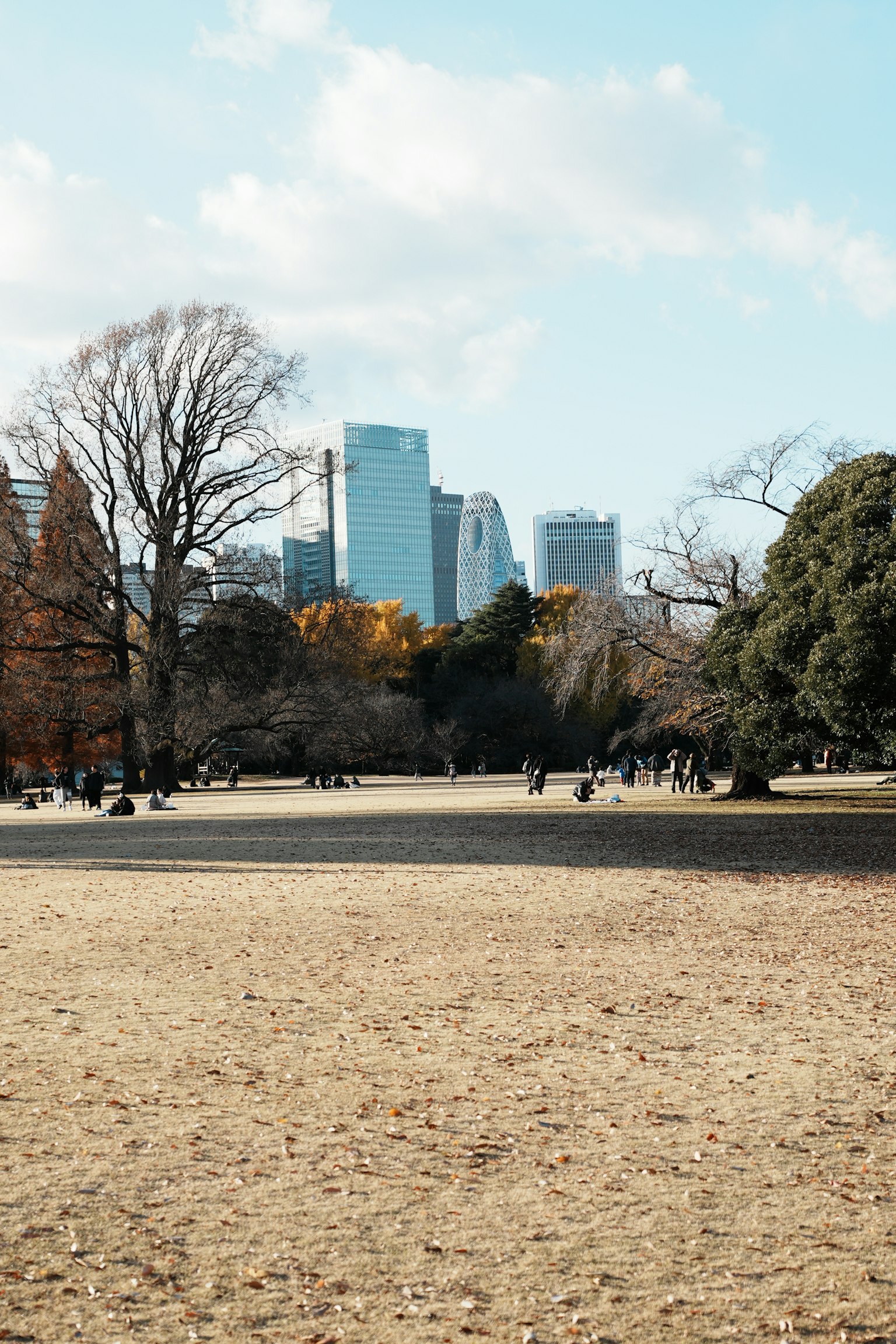 Paisaje de parque espacioso con rascacielos de fondo