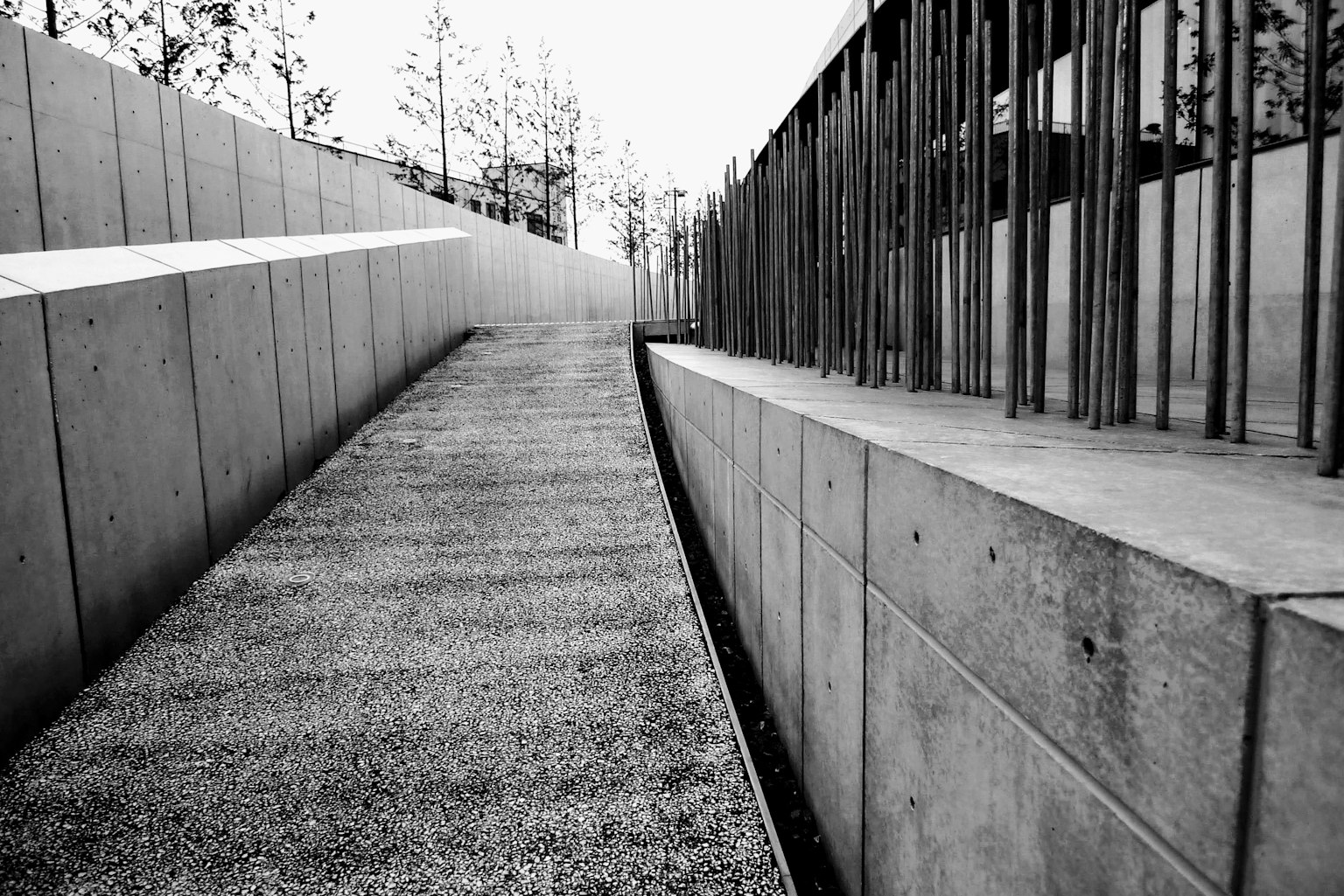 Black and white image of a concrete pathway with surrounding greenery