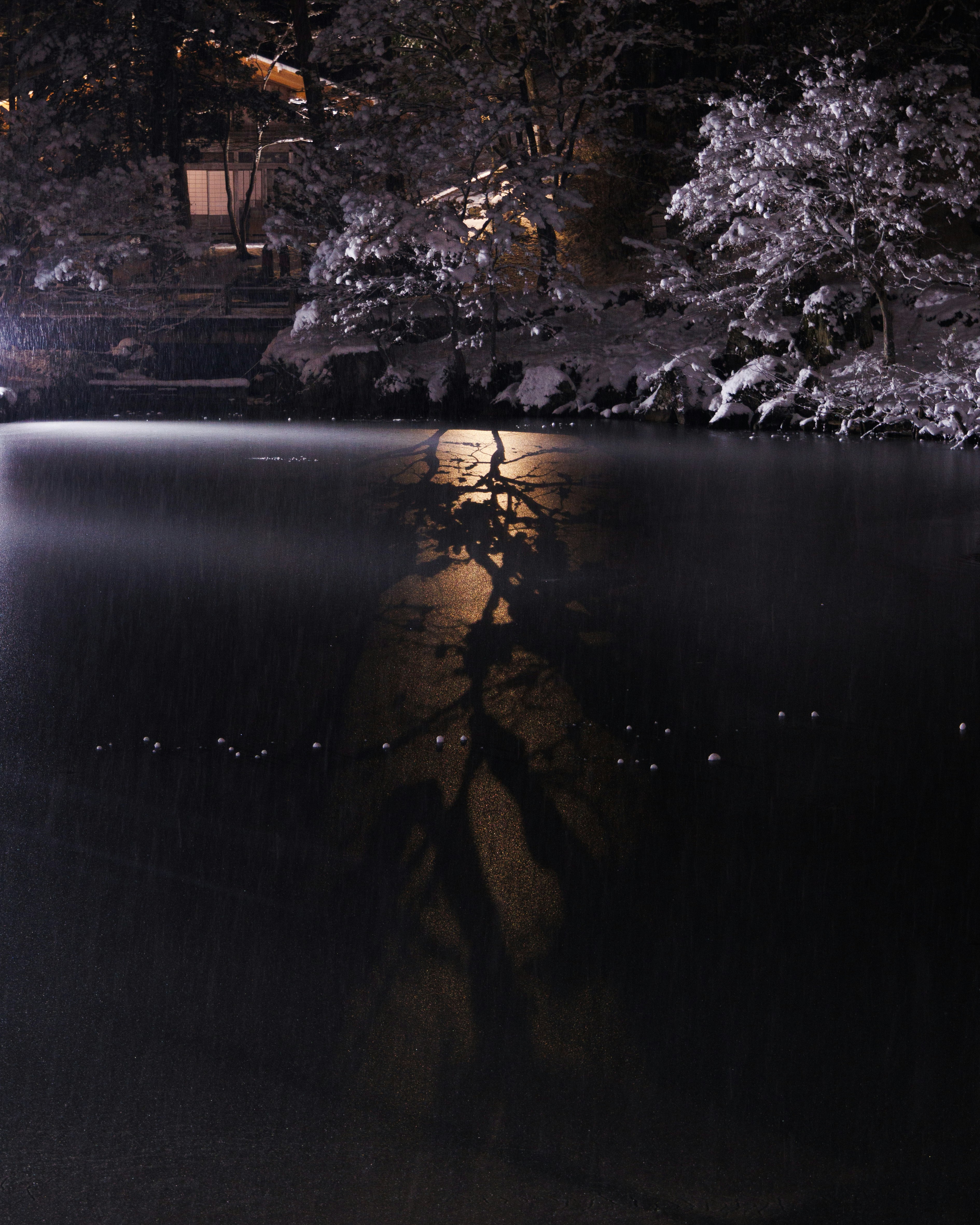 snowy night riverside silhouettes of trees reflected on the water