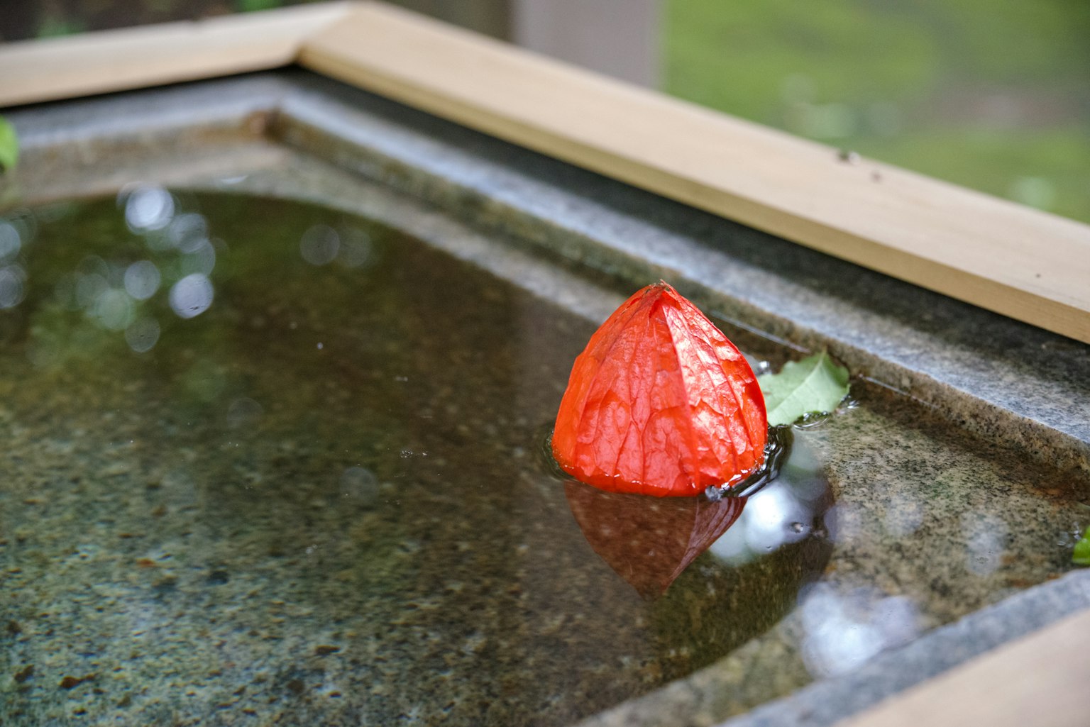一片紅葉漂浮在石盆的水面上
