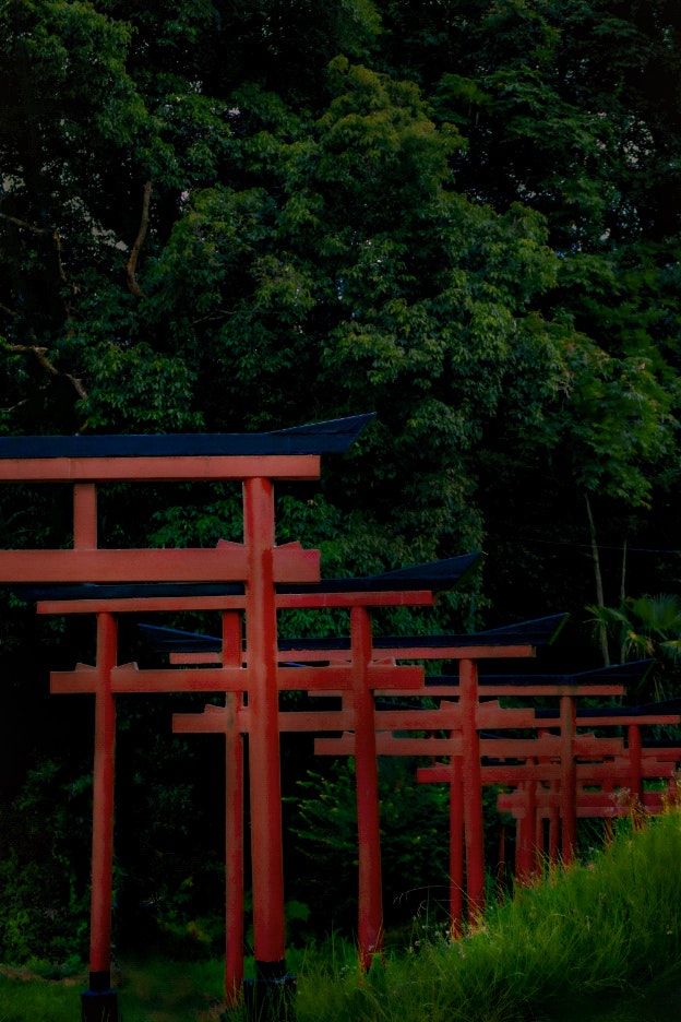 緑の森を背景にした朱色の鳥居と参道の柵