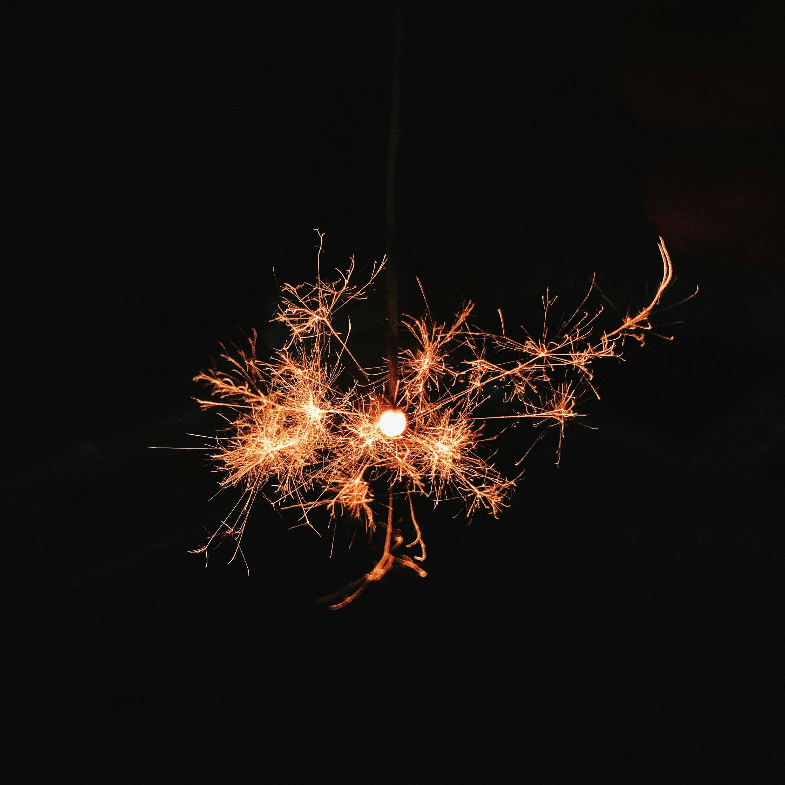 夜空に舞う花火の火花