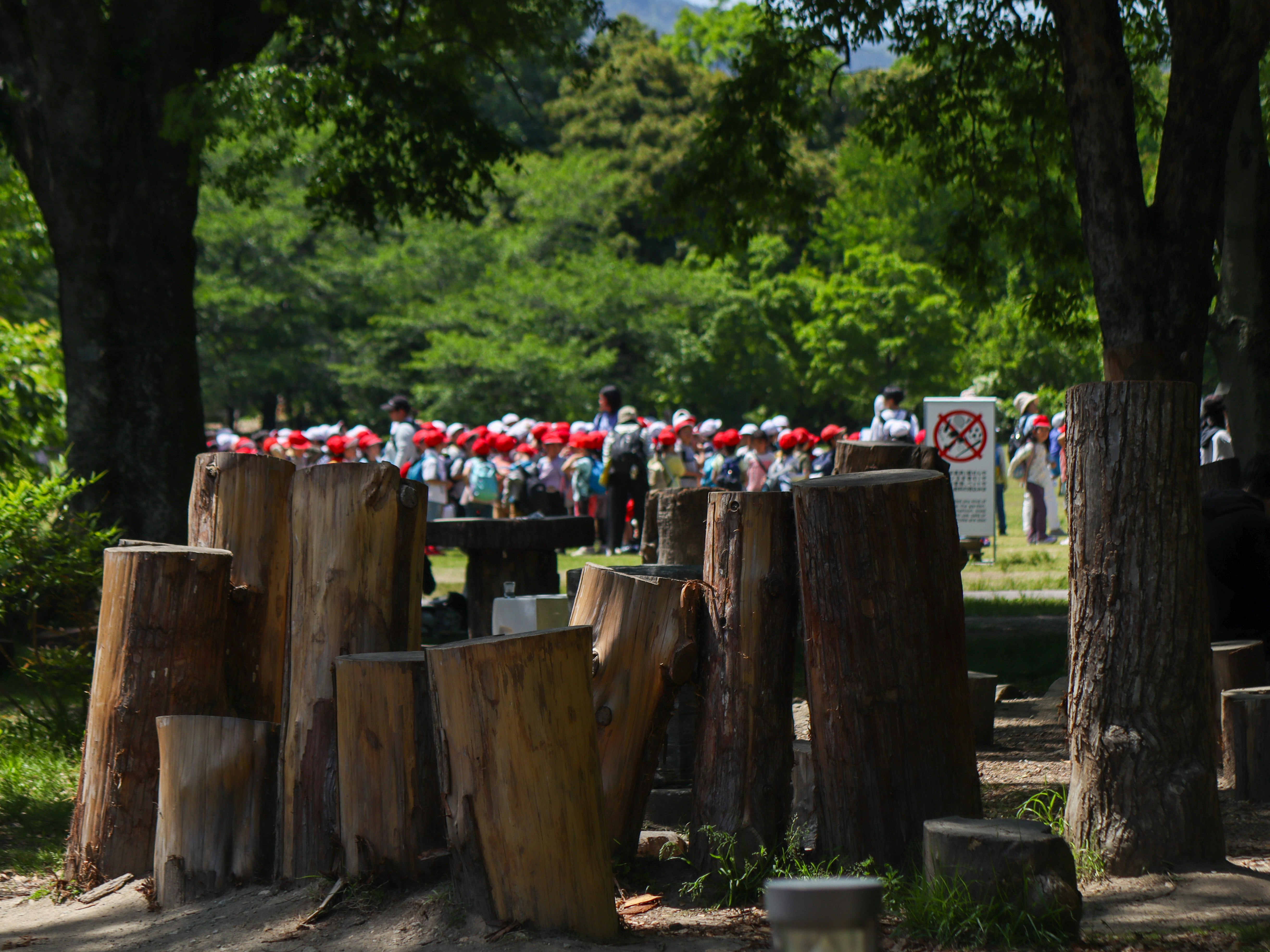 京都府立植物園の木製ベンチに並ぶ子どもたちの遠足風景