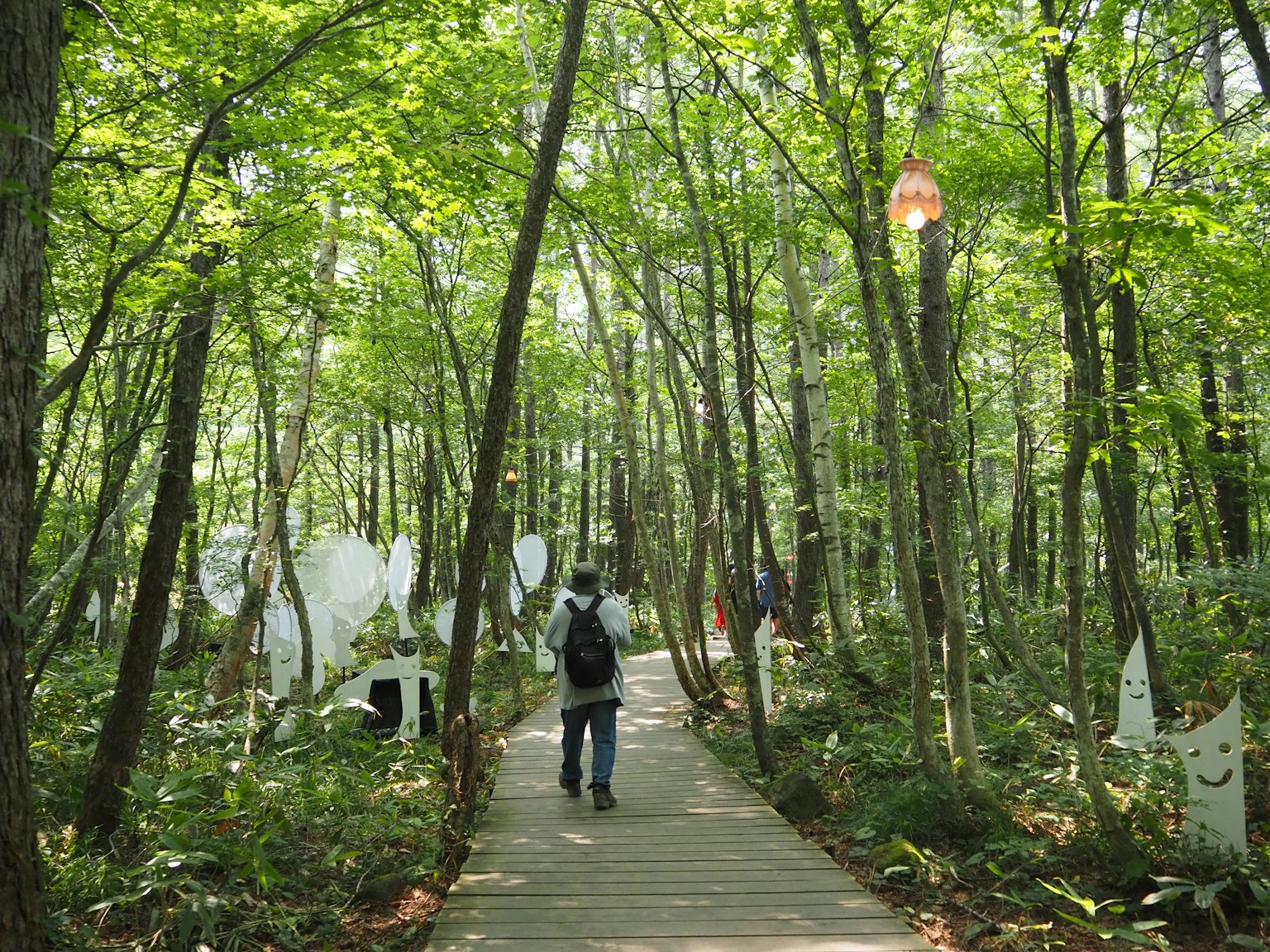 Una persona caminando por un sendero de madera a través de un bosque frondoso