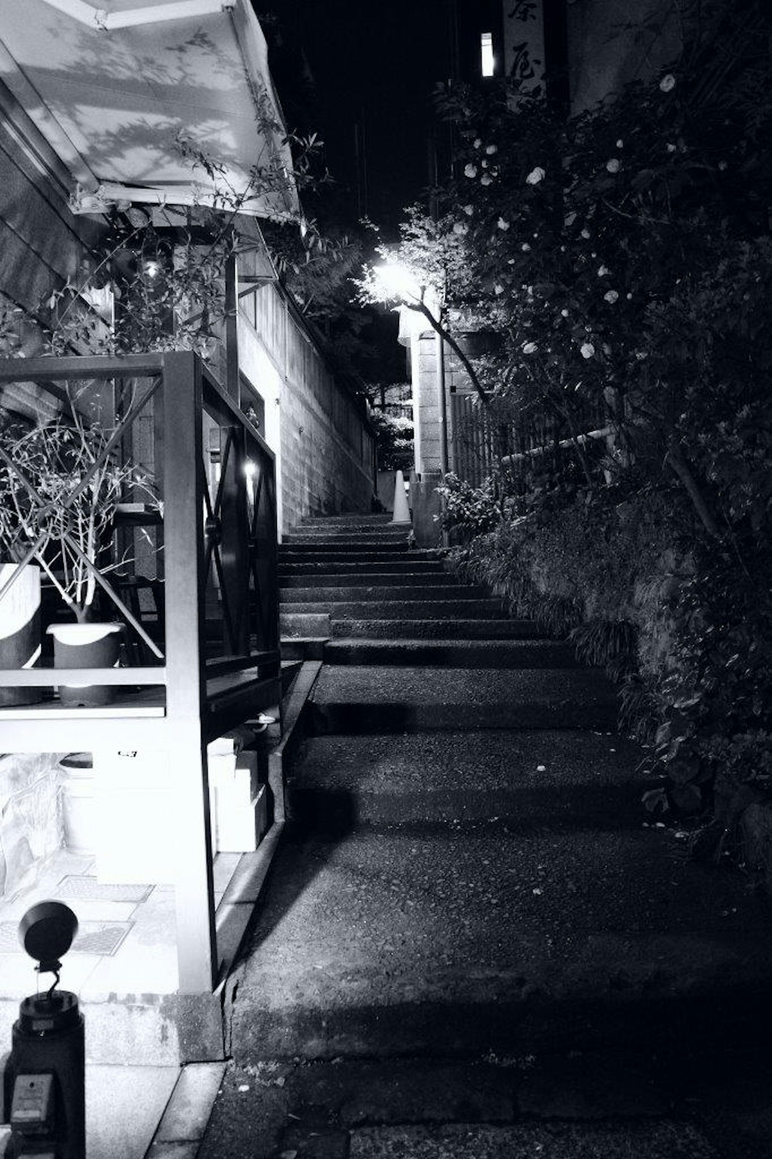 夜晚的樓梯被植物環繞的場景