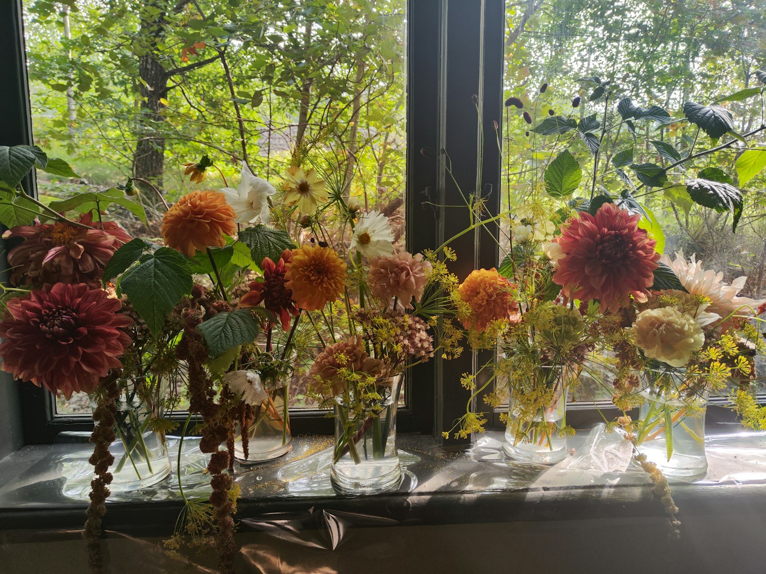 Eine Sammlung von bunten Blumen in Vasen auf einer sonnigen Fensterbank
