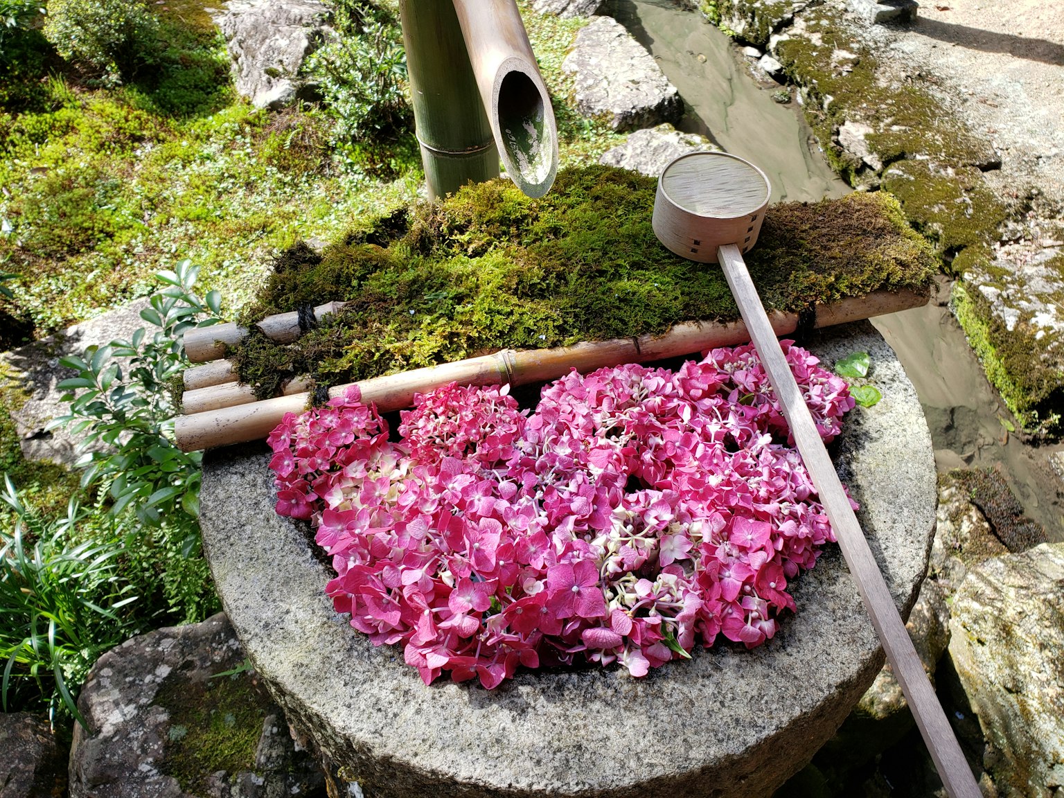 Eine ruhige japanische Gartenszene mit rosa Blütenblättern, die auf einem moosbedeckten Stein verstreut sind, mit Bambusrohren und einem Holzlöffel